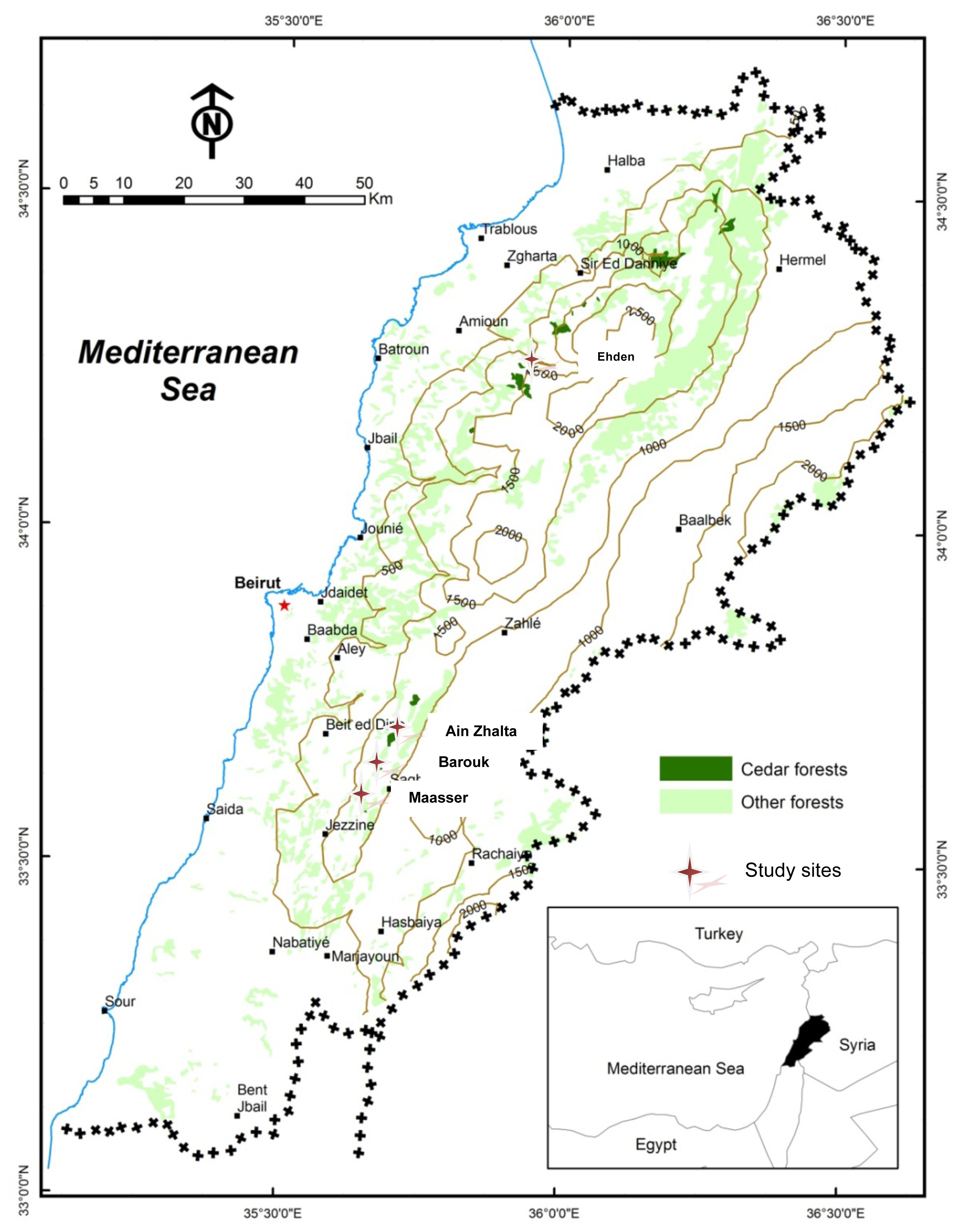 Diversity 03 00531f1 1024