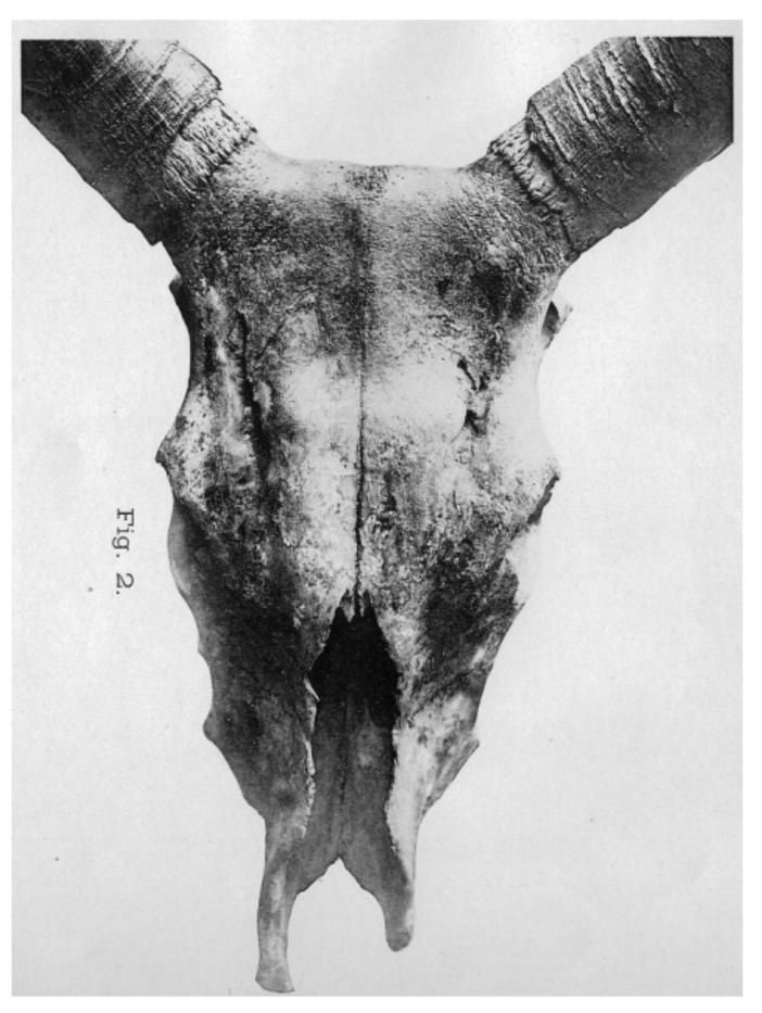 Diversity 03 00660f2 1024