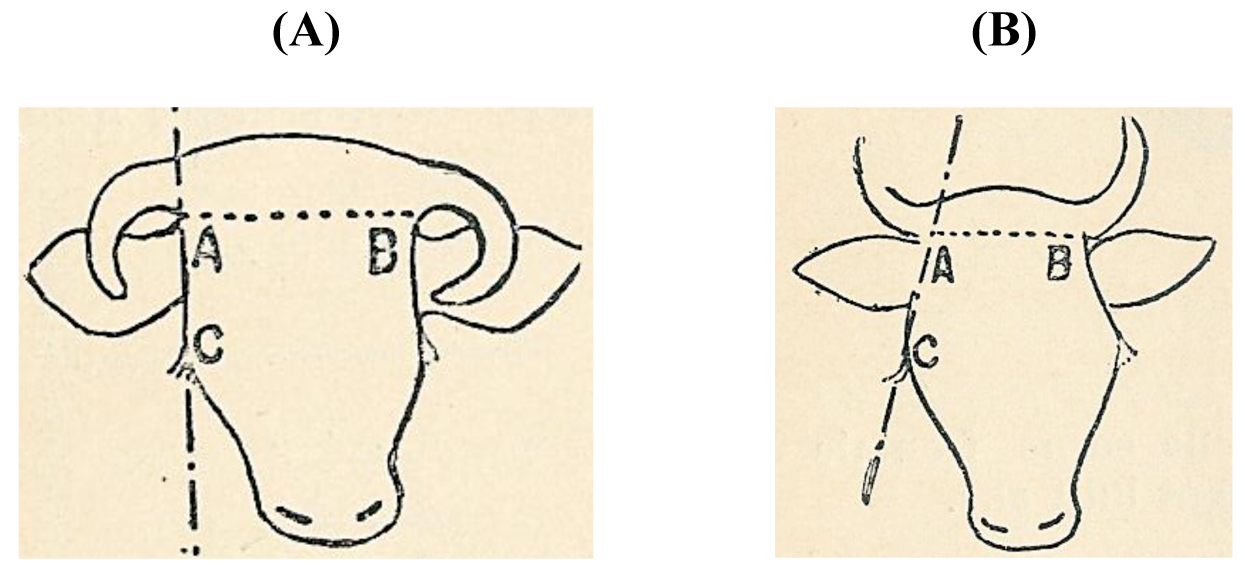 Diversity 03 00660f4 1024