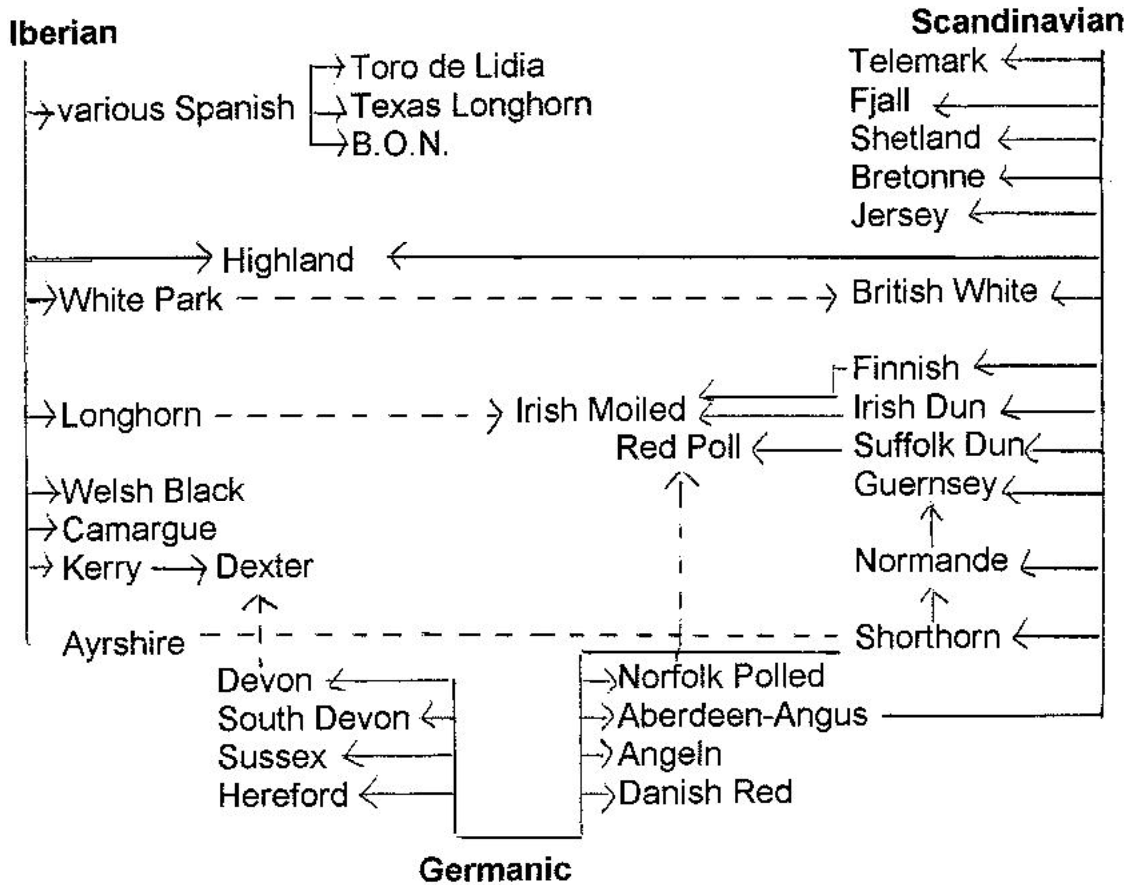 Diversity 03 00660f5 1024