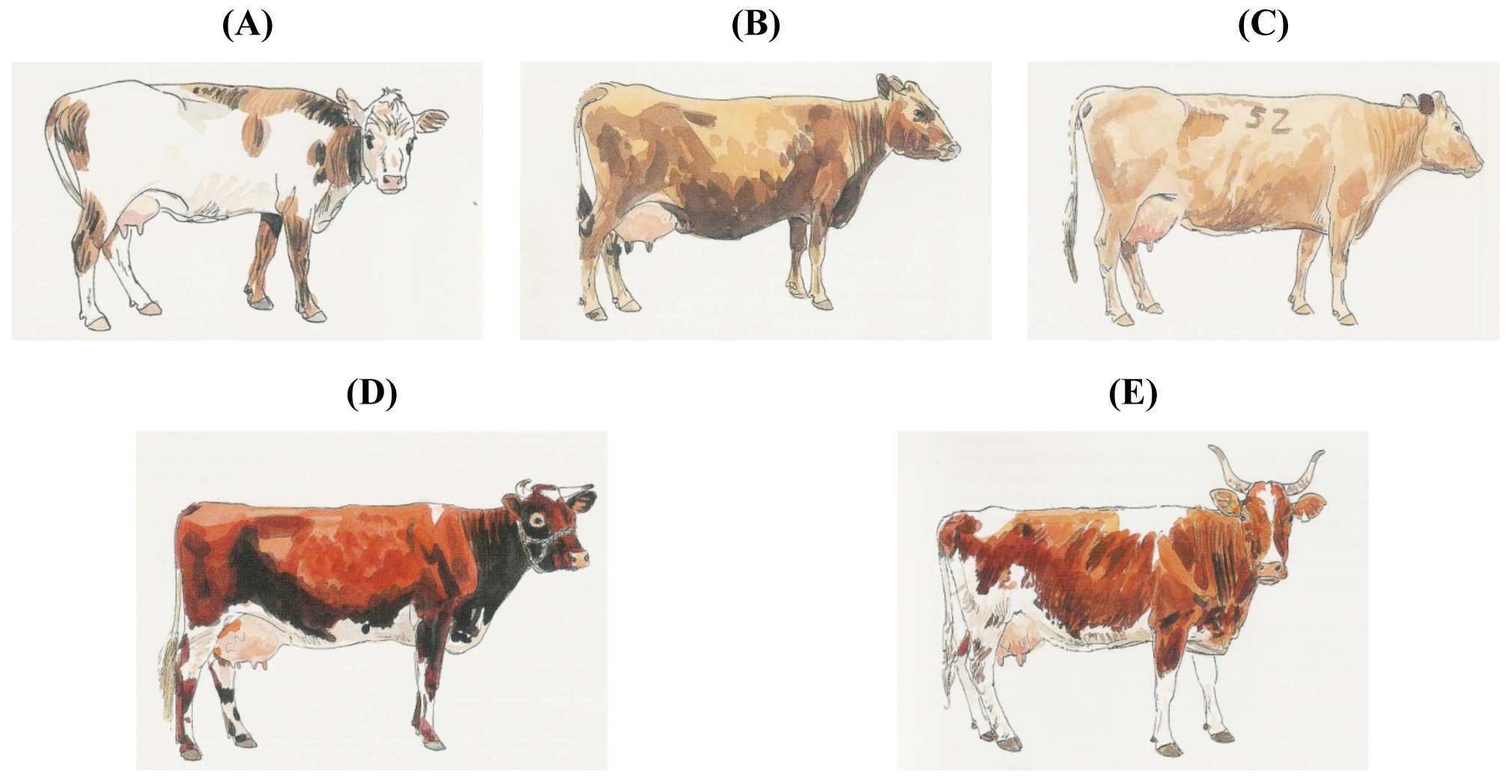 Diversity 03 00660f7 1024