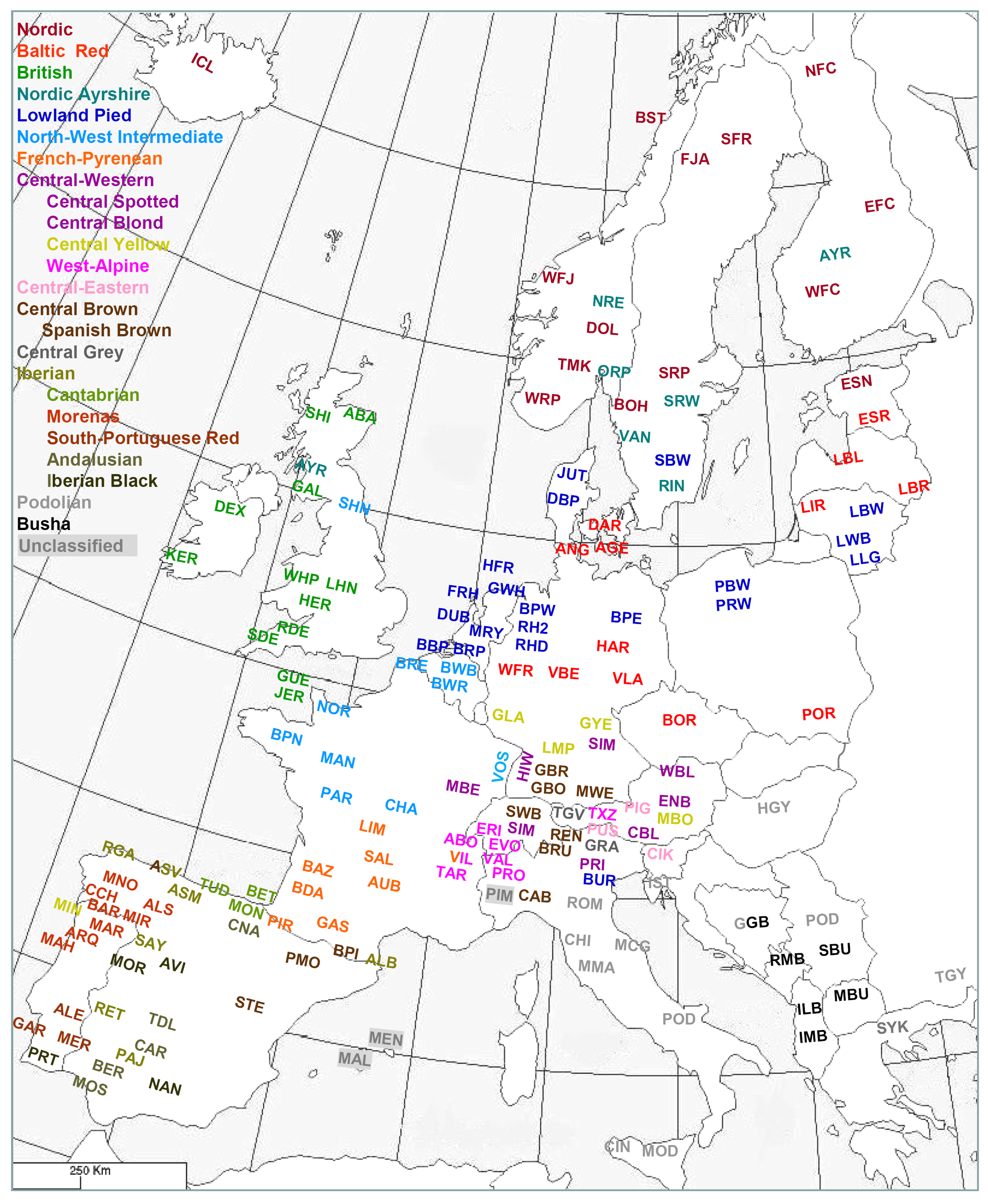 Diversity 03 00660f9 1024