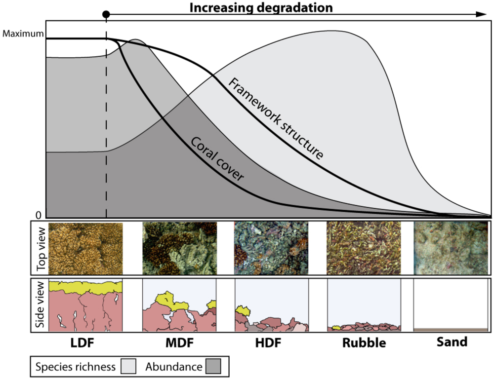 Diversity 04 00094 g002