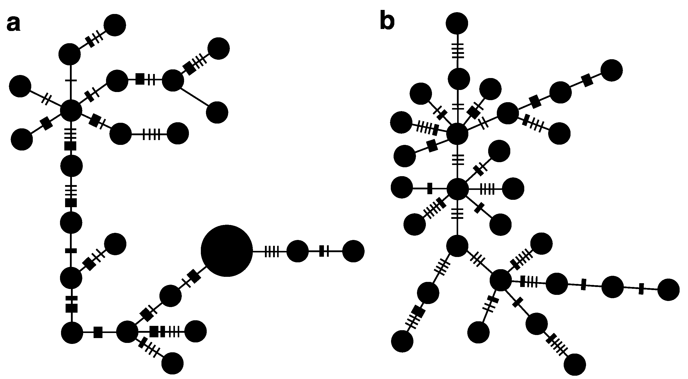 Diversity 05 00039 g002 1024