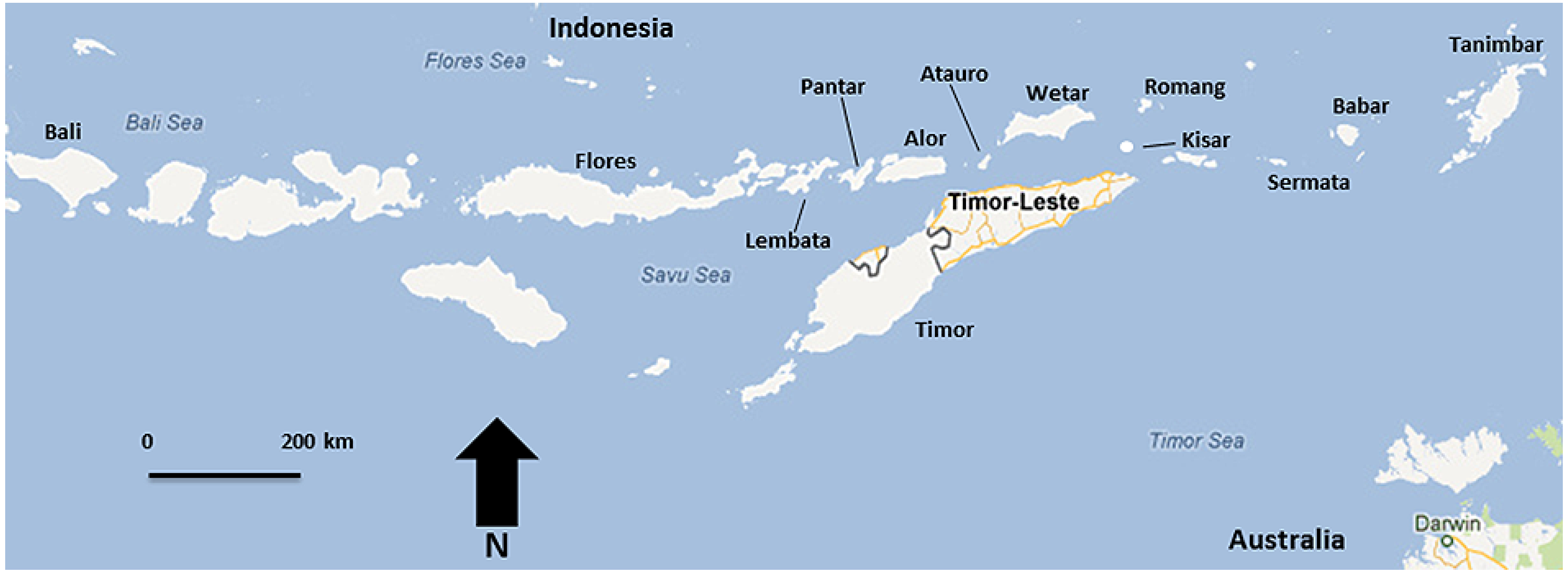 Остров Сумба Индонезия на карте. Остров Тимор на карте. Остров Флорес Индонезия на карте. Западный Тимор Индонезия.