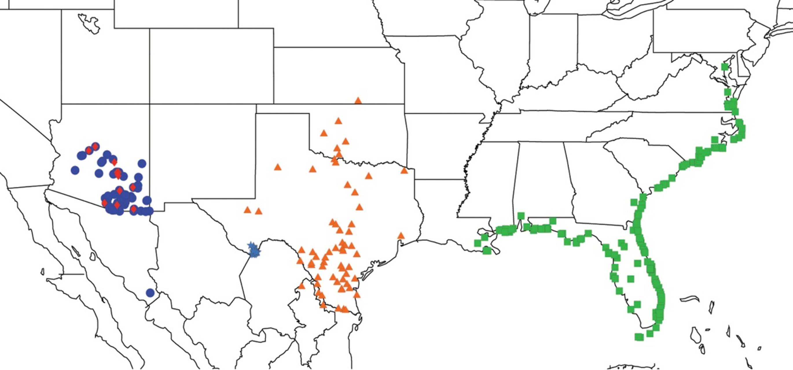Diversity 05 00166 g004