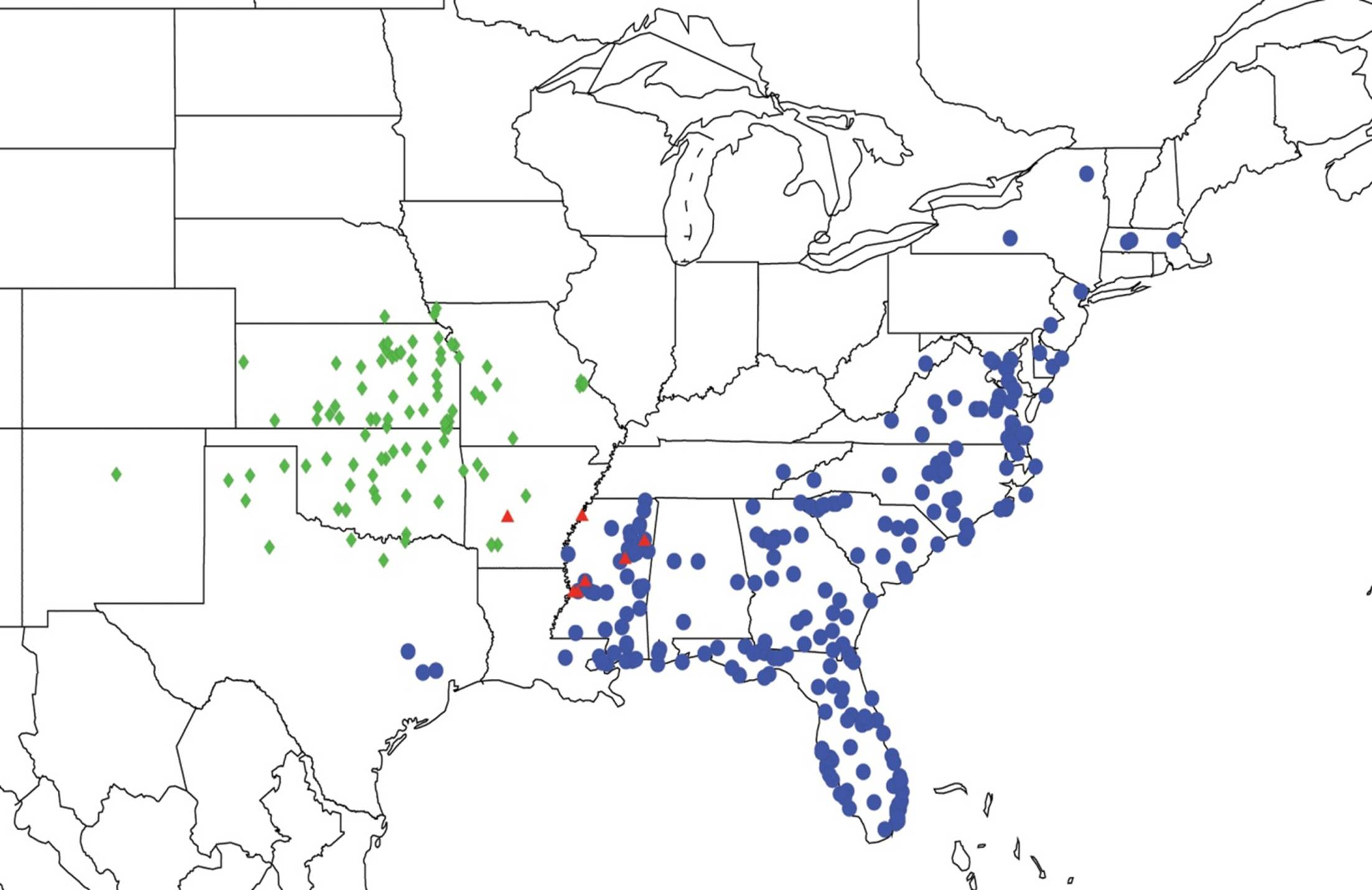 Diversity Free Full-Text Biogeography of the Cicadas (Hemiptera Cicadidae) of North America, North of Mexico image