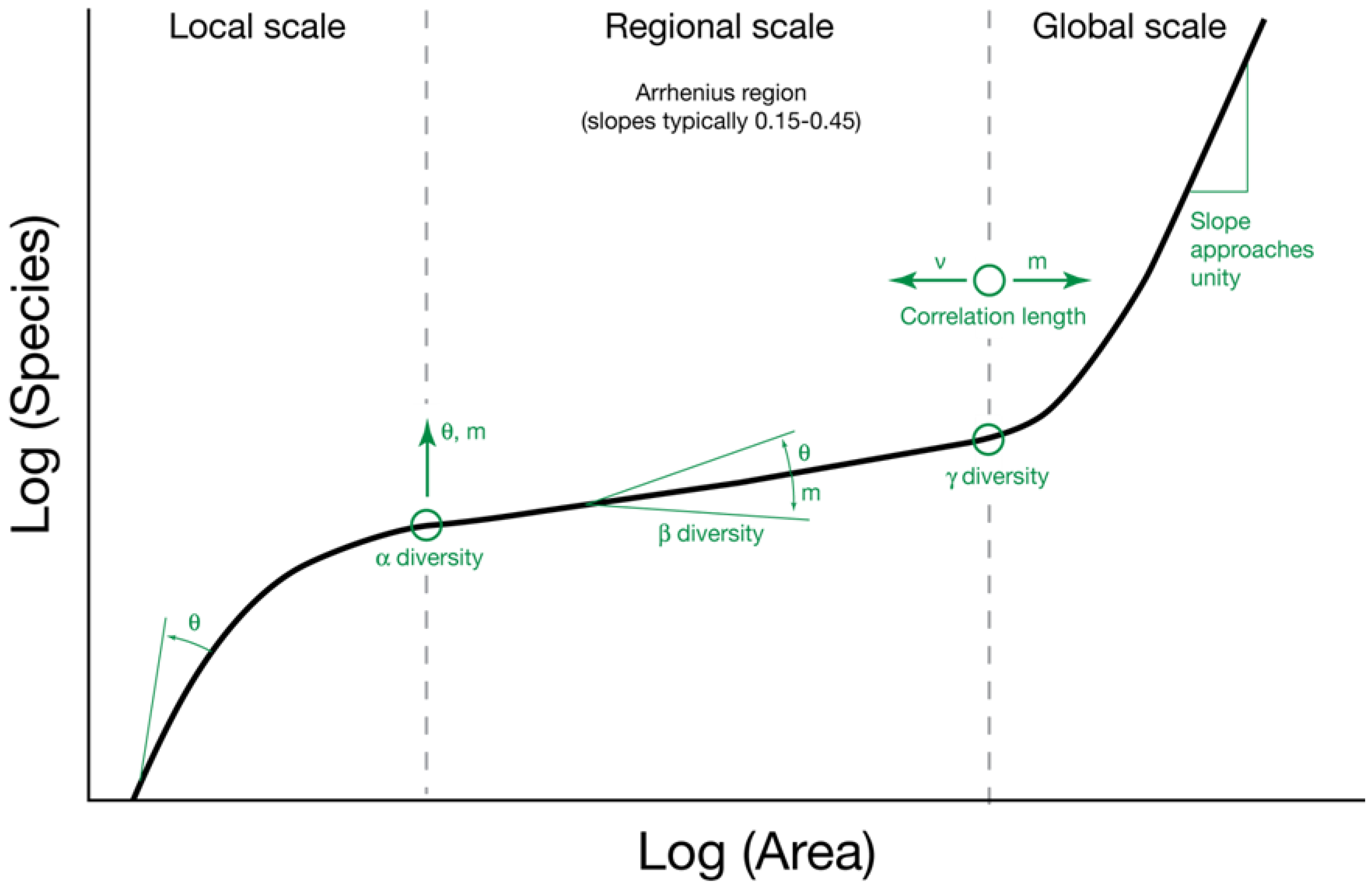 21. What do steeper slopes mean in species richness v/s area graph ?