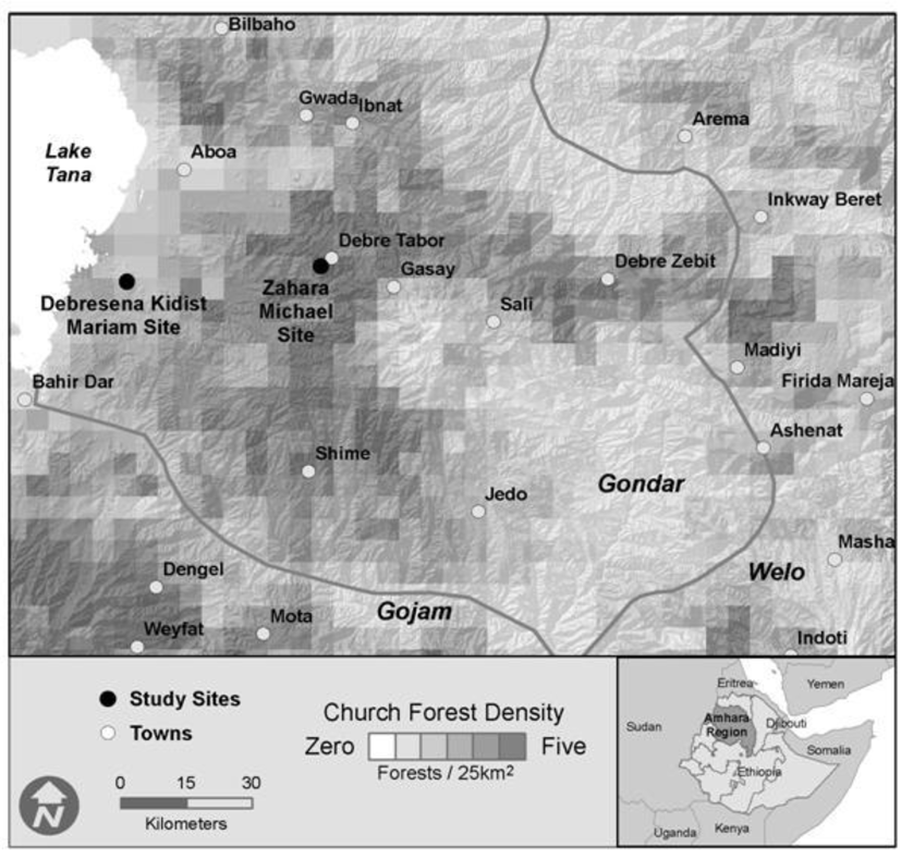 Diversity 05 00320 g001