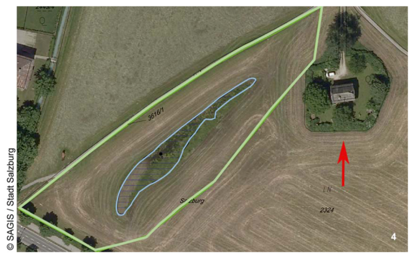 Diversity 05 00374 g004