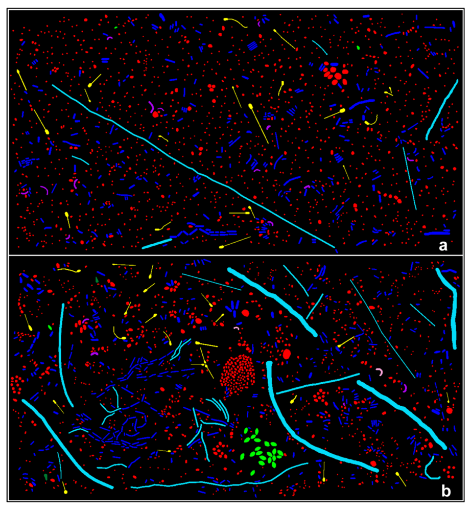 Diversity 05 00426 g002 1024