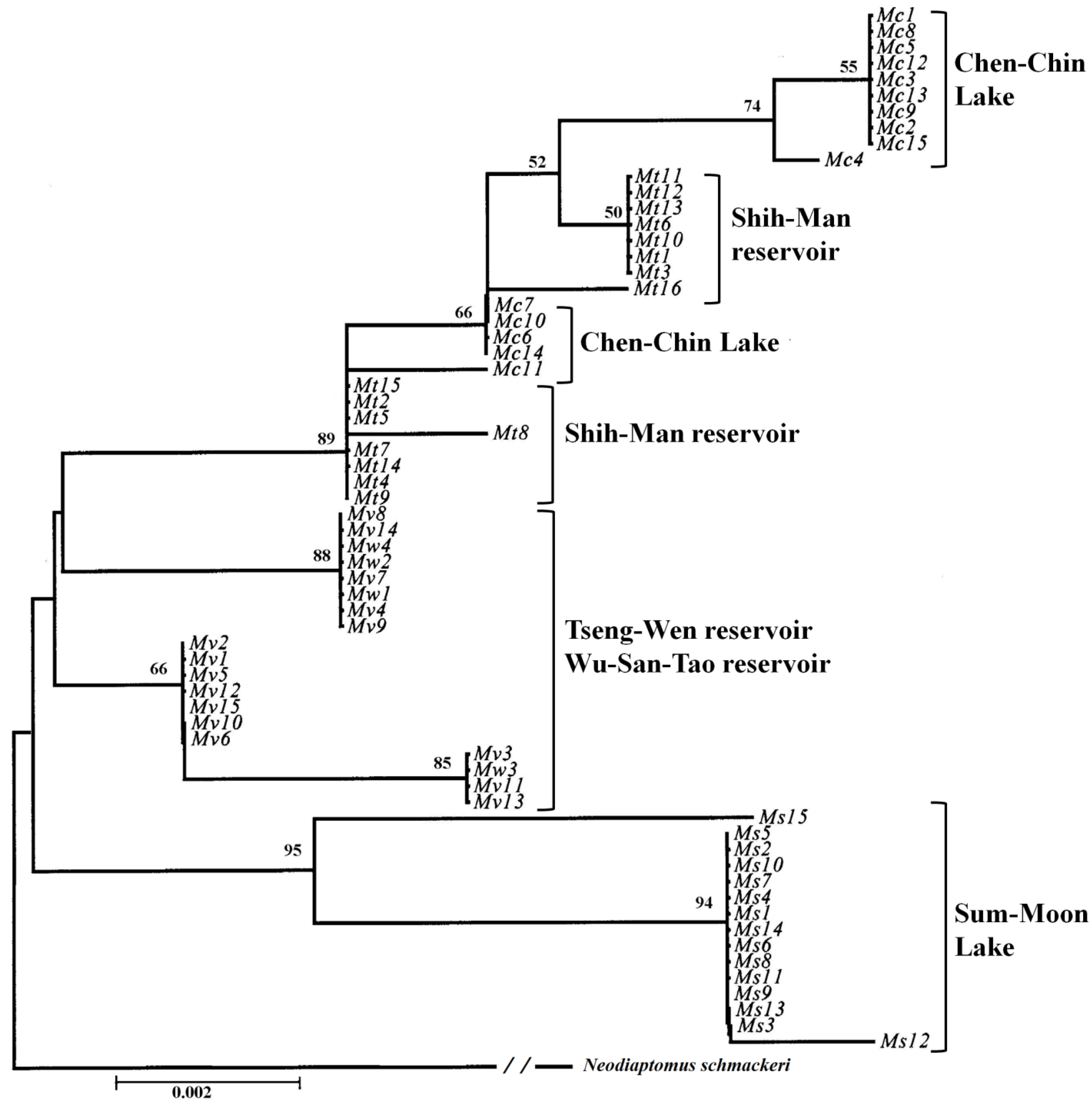 Diversity 05 00796 g004 1024
