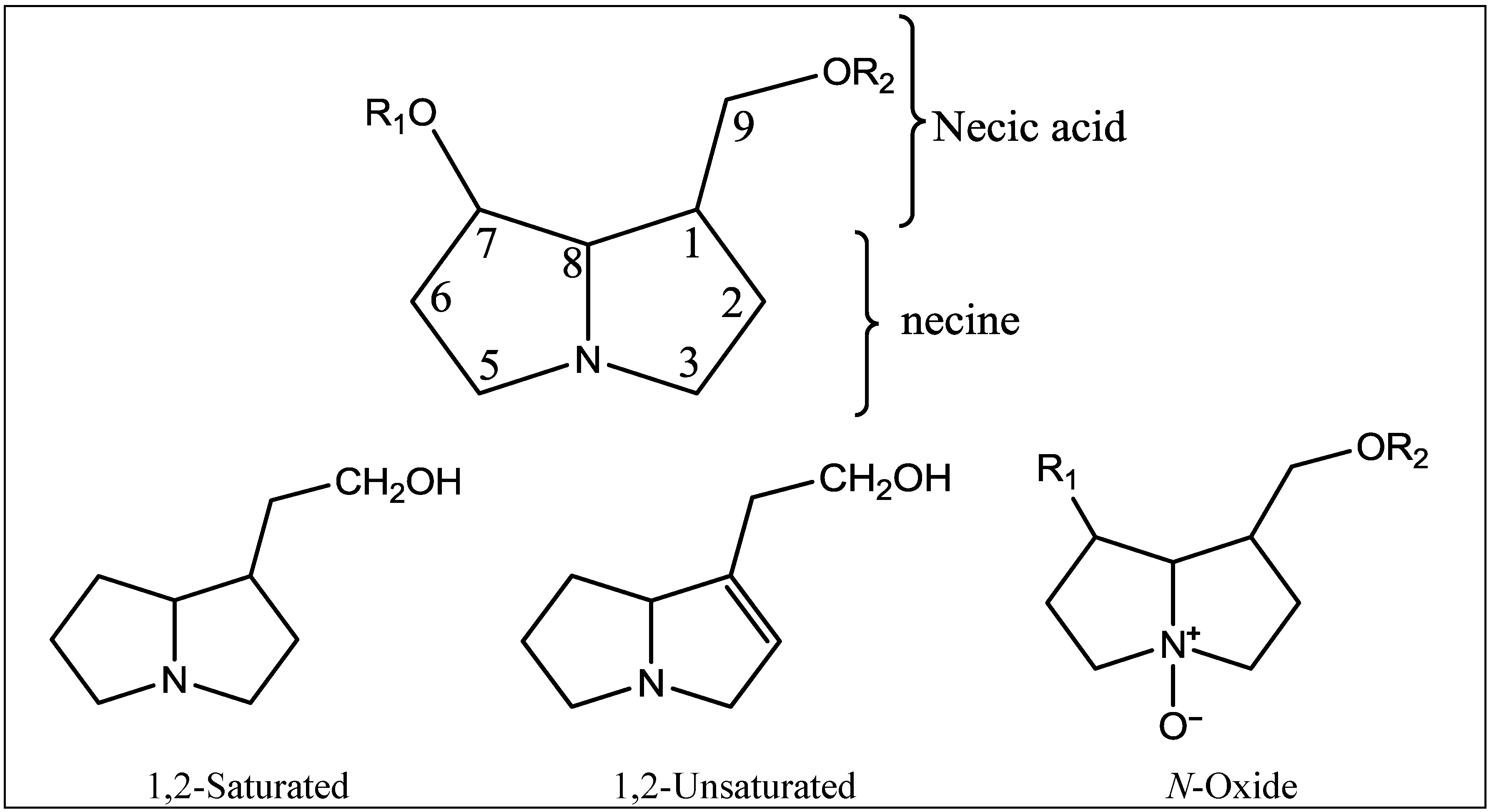 Diversity 06 00188 g001 1024
