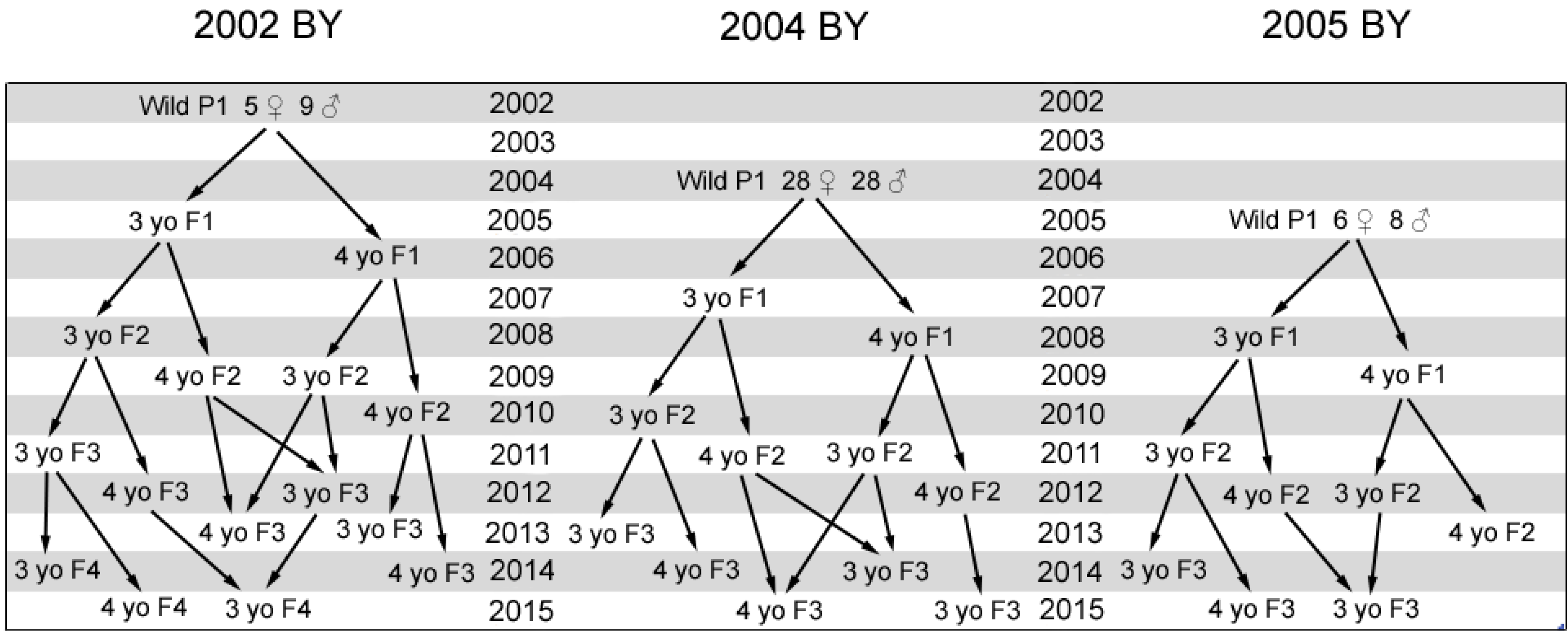 Diversity 06 00354 g002 1024