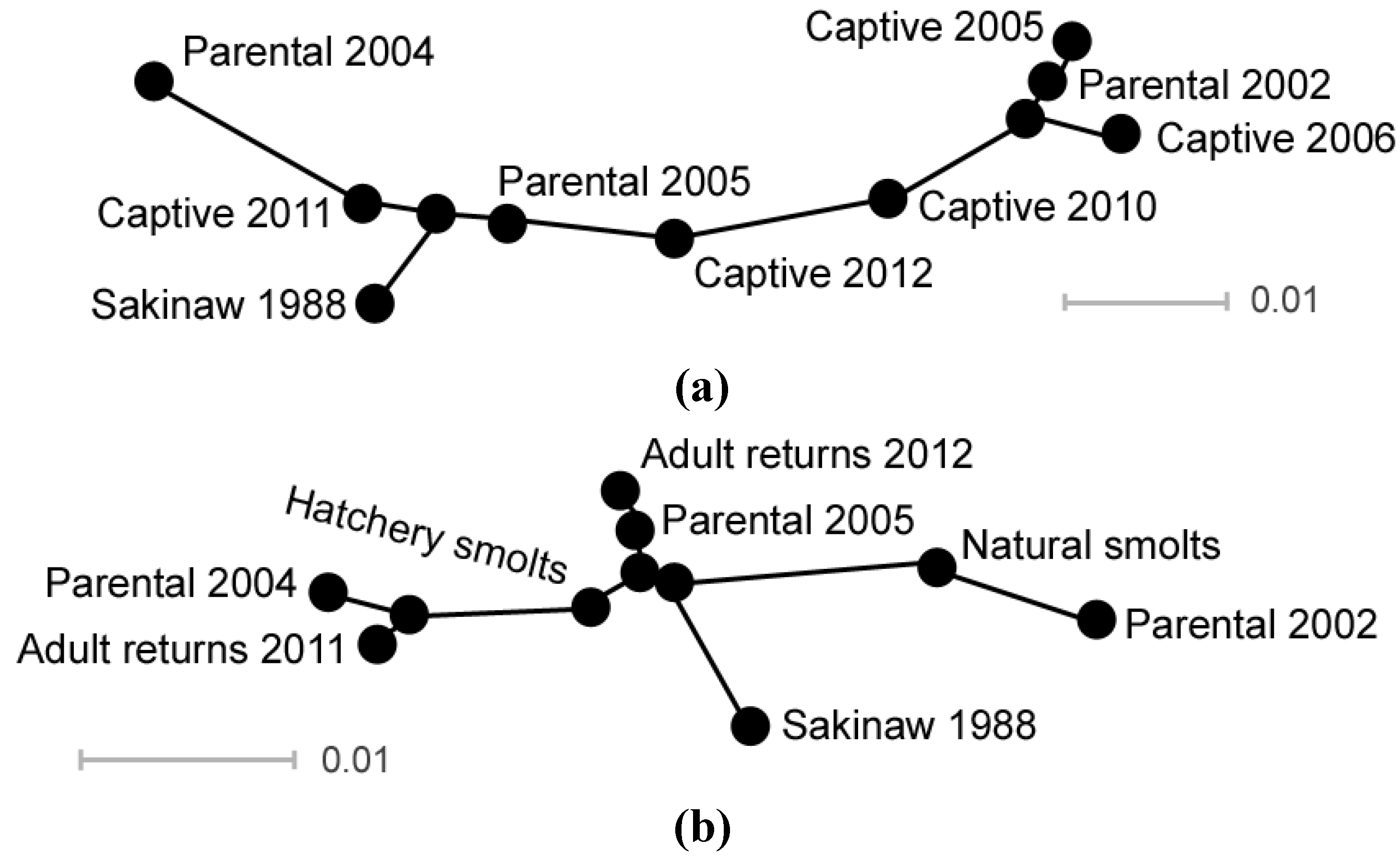Diversity 06 00354 g003 1024