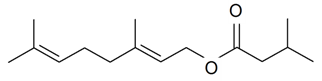Diversity 06 00415 i189