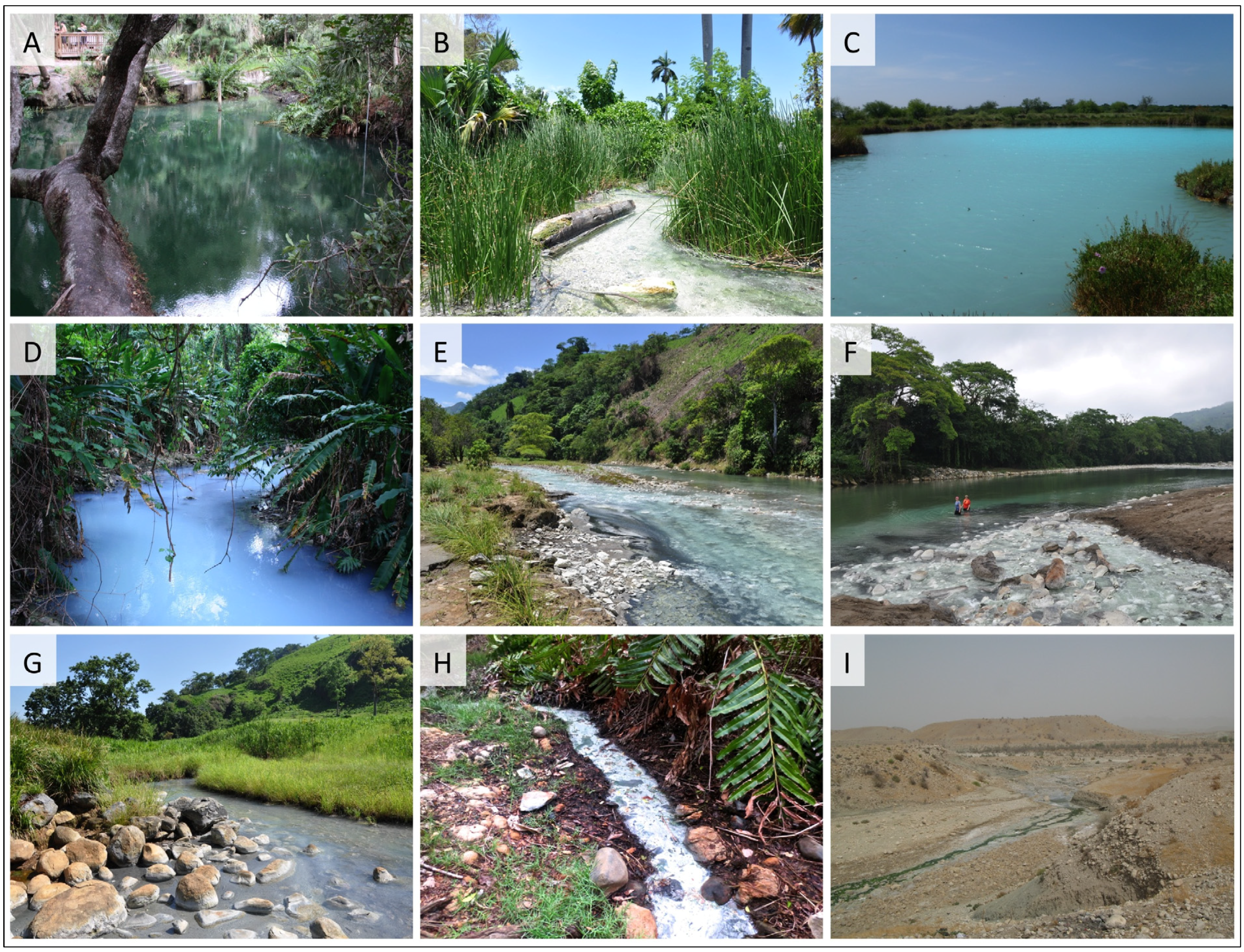 Diversity 06 00597 g002