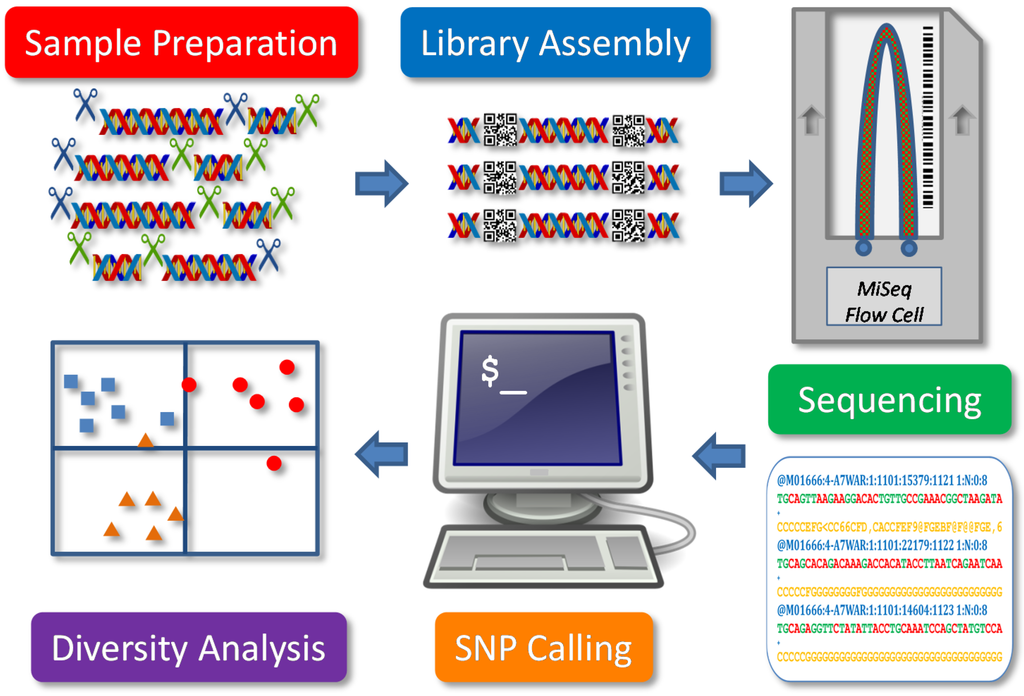 Genotyping-By-Sequencing for Plant Genetic Diversity Analysis: A Lab ...
