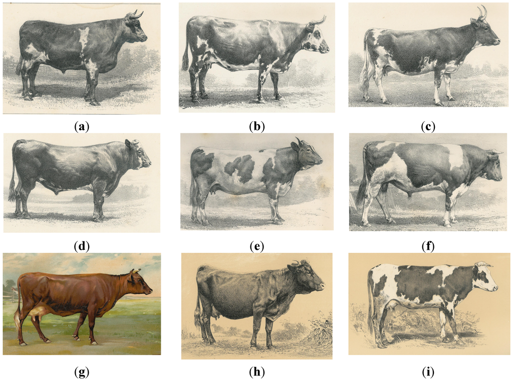 On the History of Cattle Genetic Resources