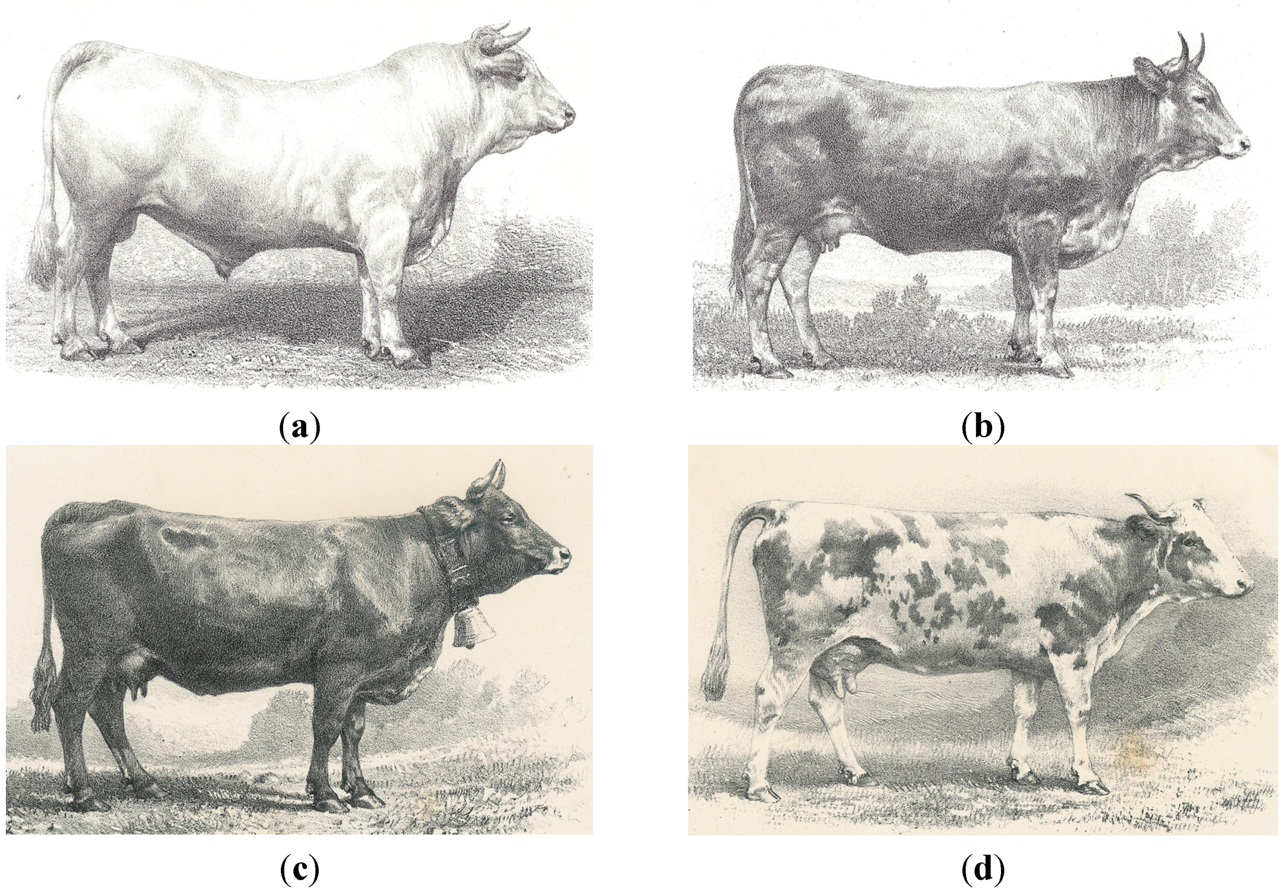 changing breeds pdf free online changing breeds pdf free online