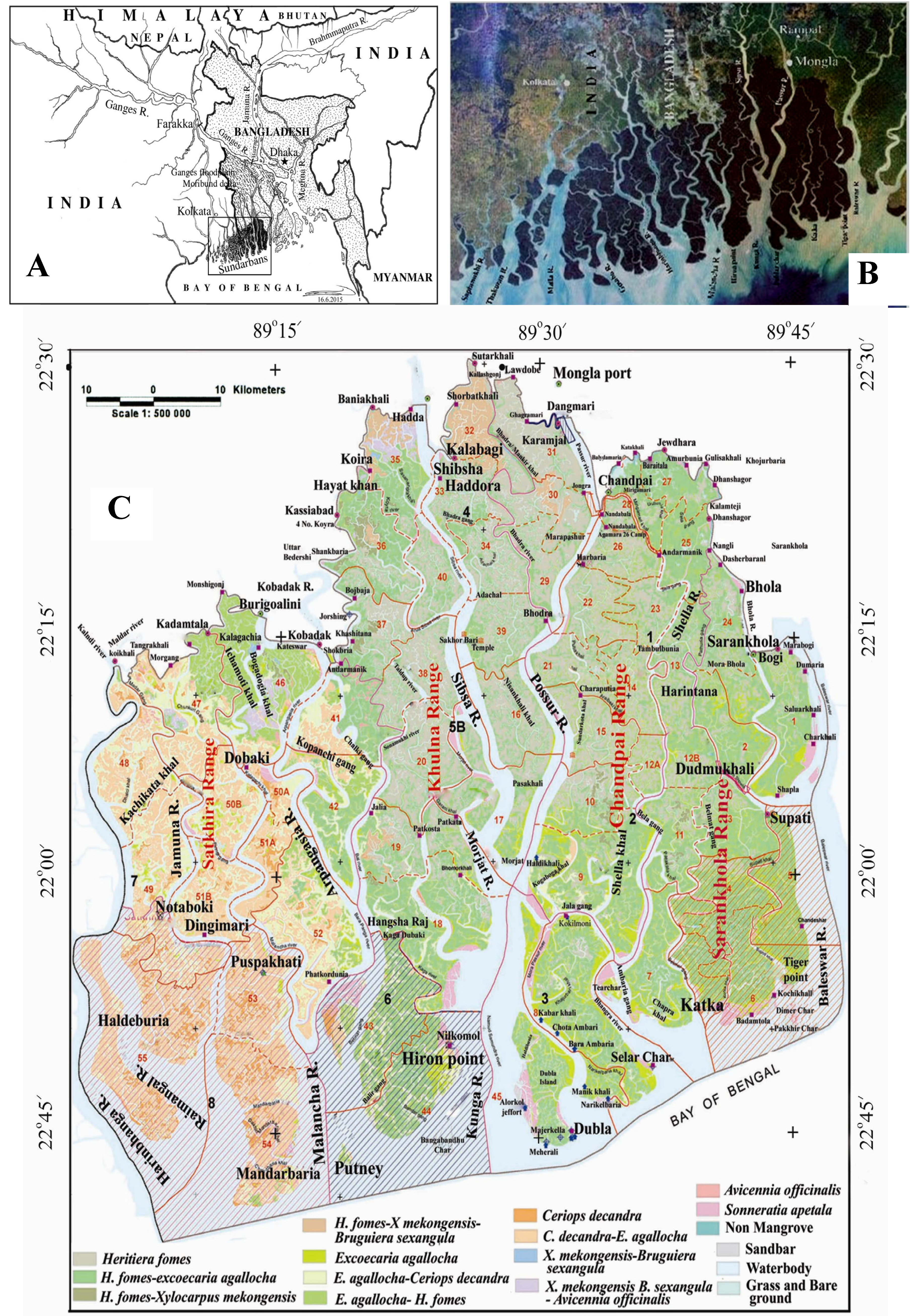 Diversity | Free Full-Text | Bangladesh Sundarbans: Present Status of the Environment and Biota Diversity | Free Full-Text | Bangladesh Sundarbans: Present Status of the Environment and Biota