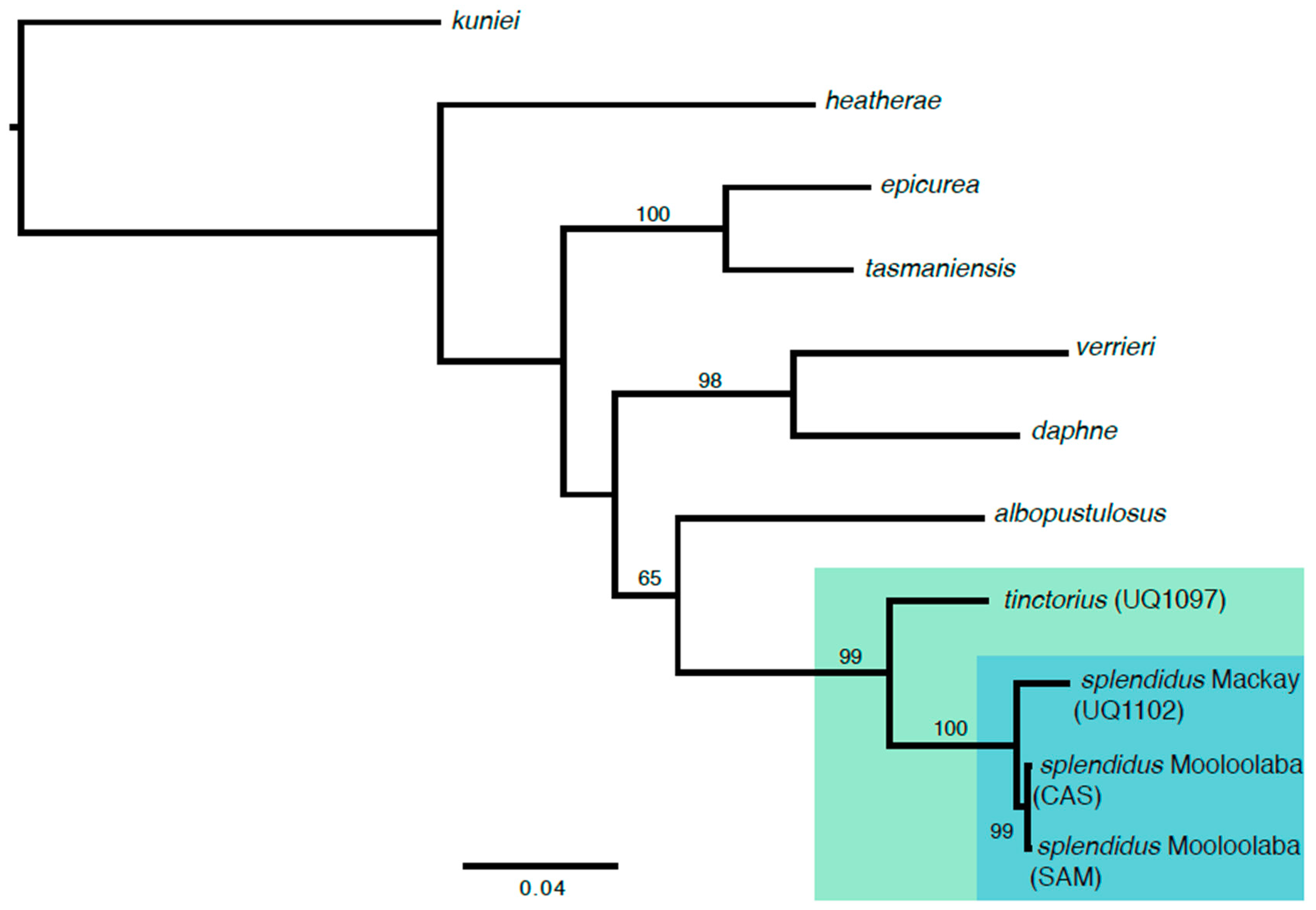 Diversity 08 00016 g002