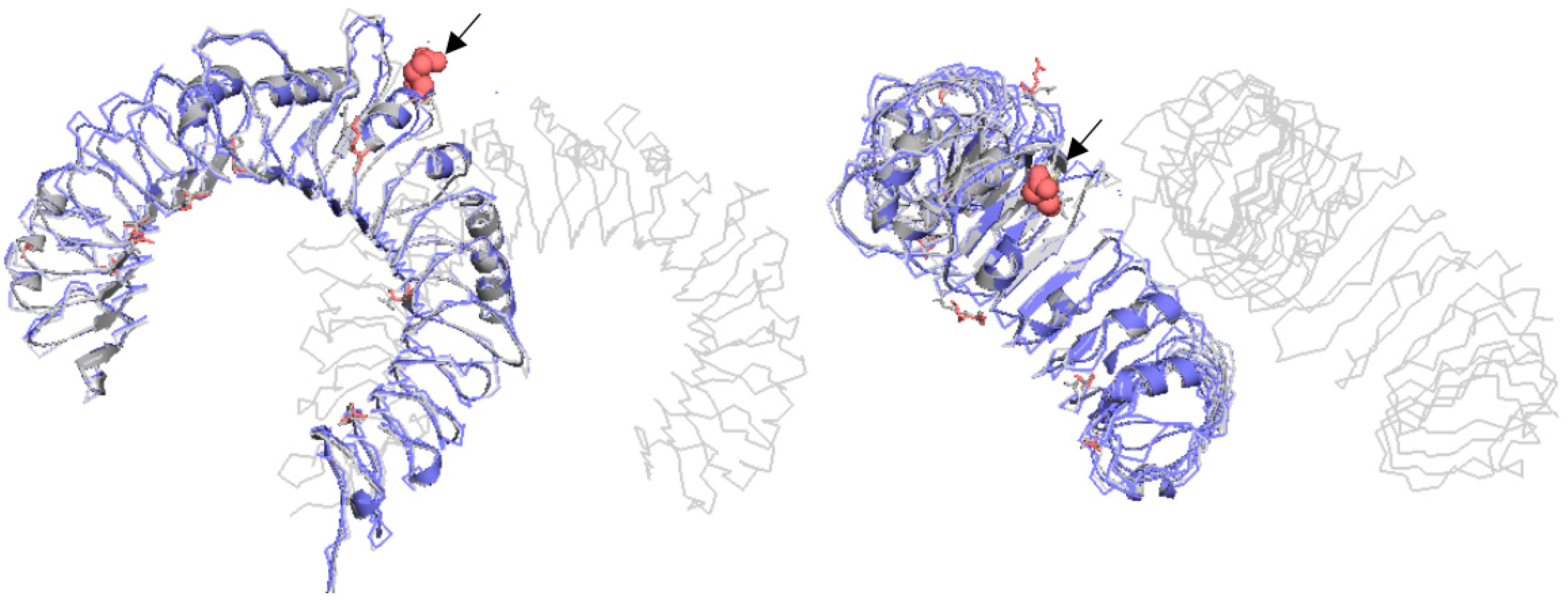 Diversity 08 00023 g006