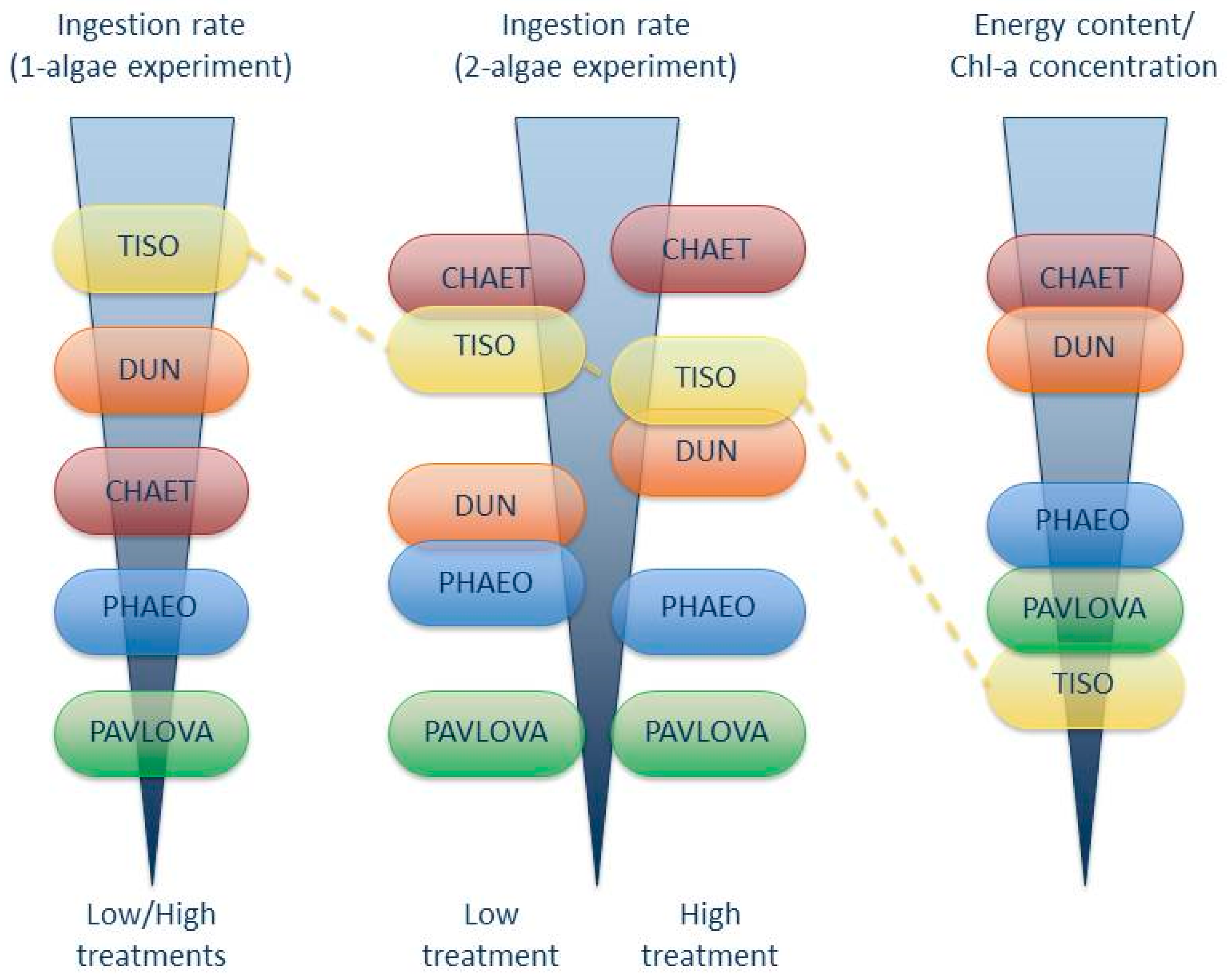 Diversity 09 00008 g004 550