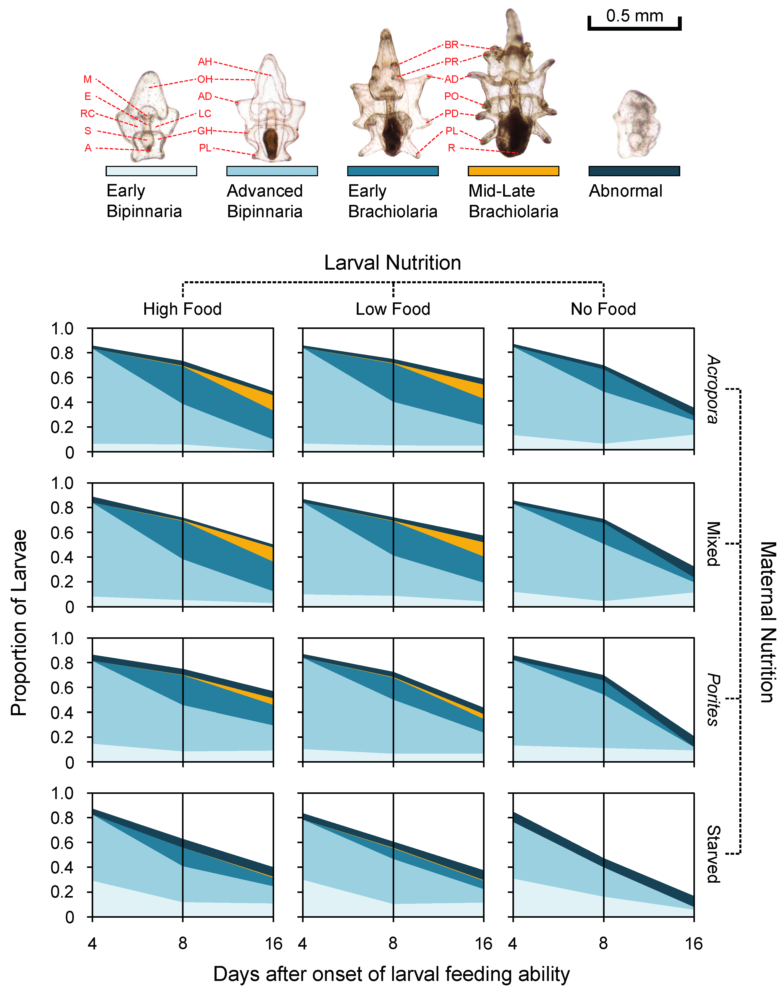 Diversity 09 00015 g003 550