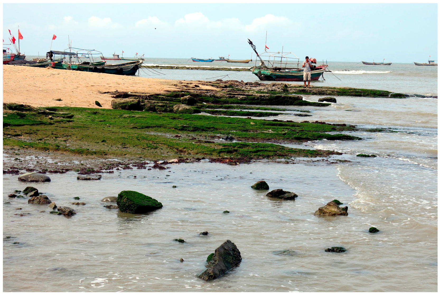 Diversity 09 00024 g007 550