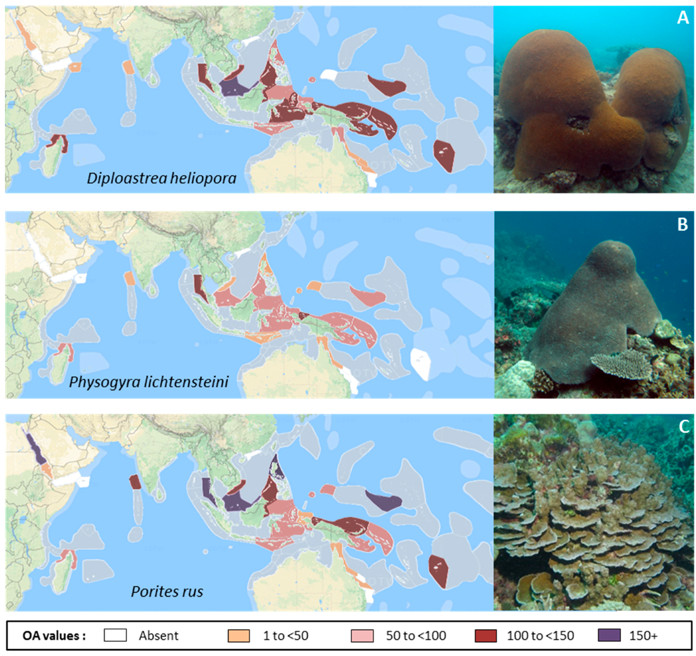 Diversity 09 00025 g011 550