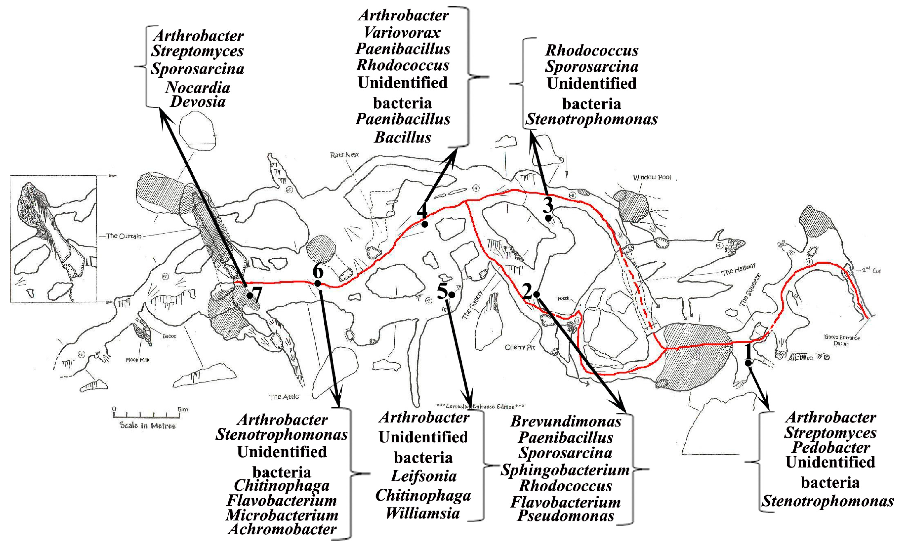 PDF) Berecki, S., Identity in Landscape. Connectivity and Diversity in Iron  Age Transylvania, BMM XVIII / IEC XXVII, Cluj-Napoca, Mega, 2021.