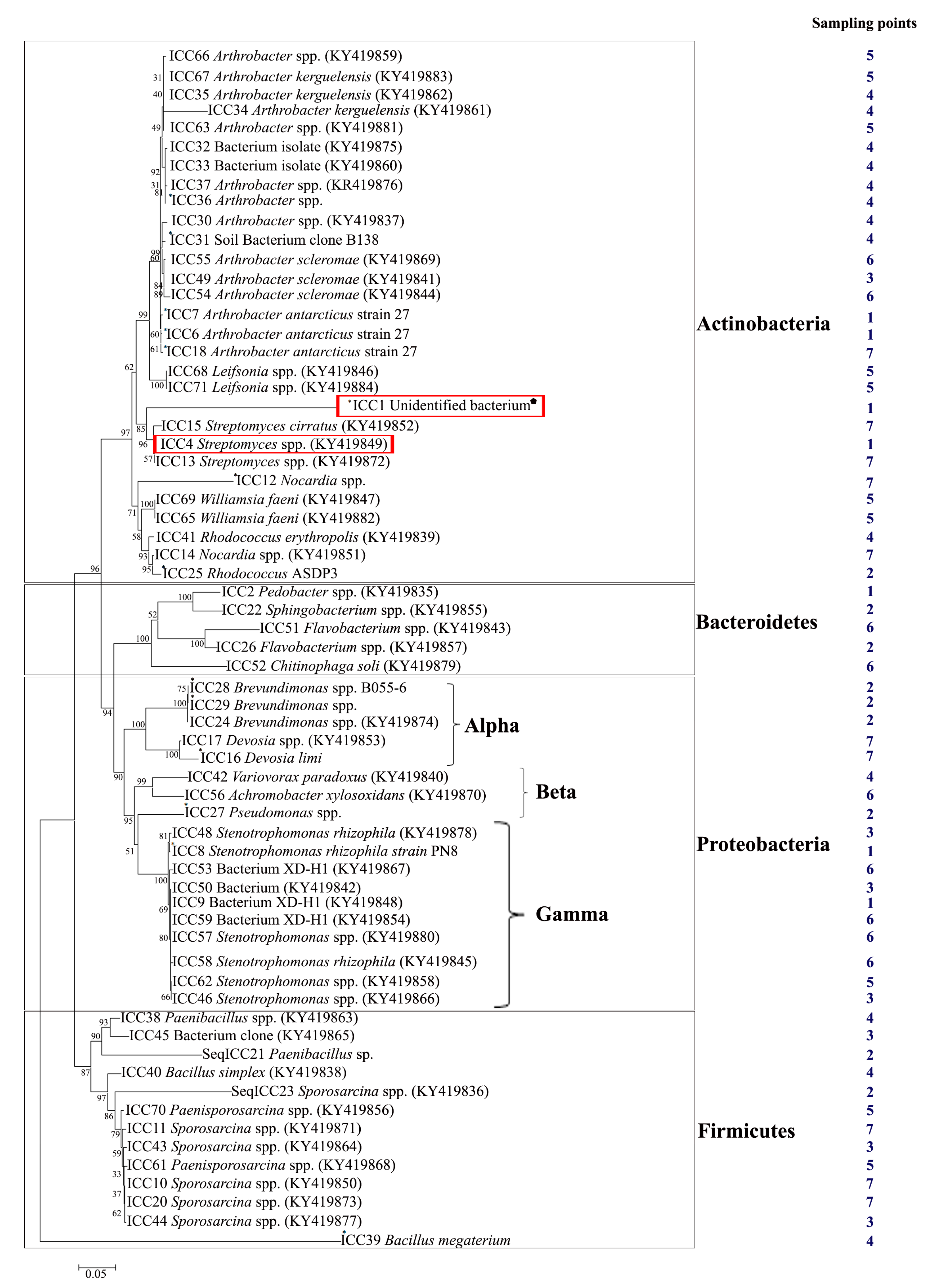 Diversity 09 00036 g005