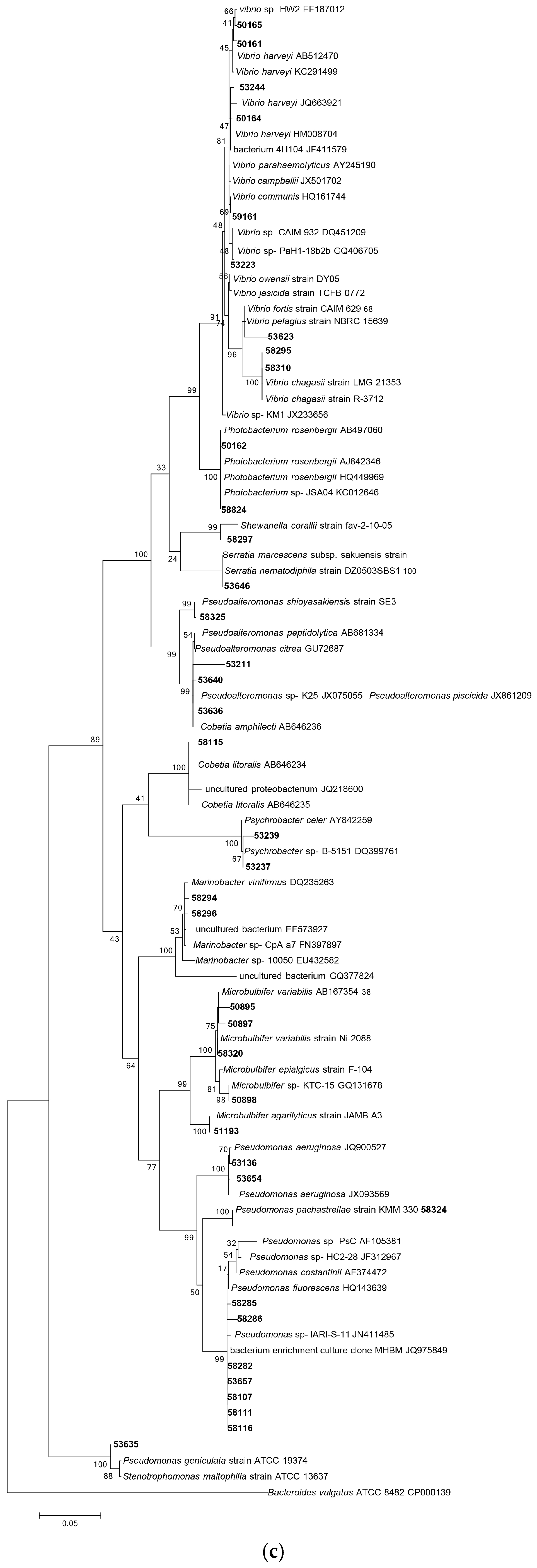 Diversity 09 00039 g001c Diversity 09 00039 g001c