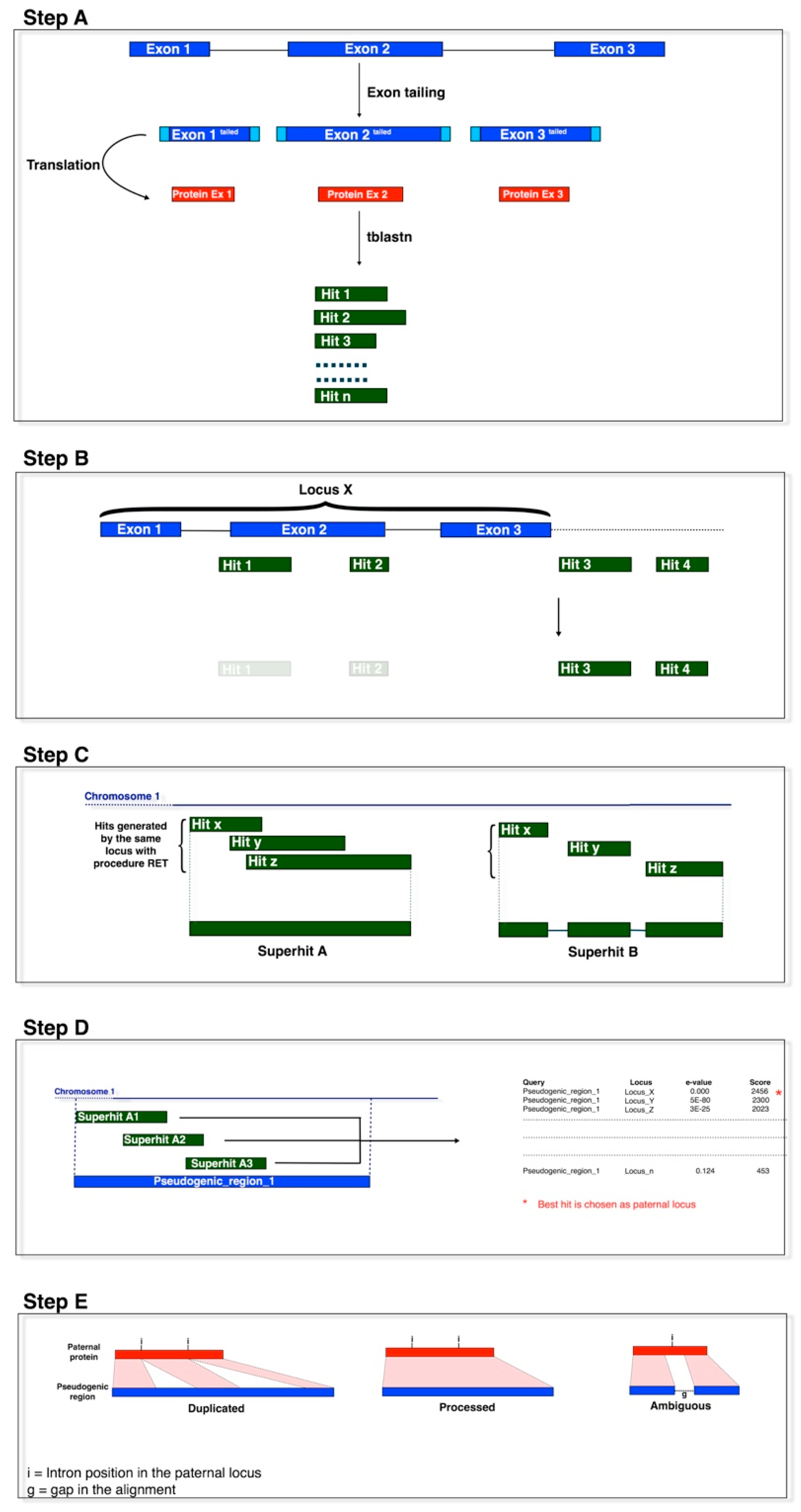 Diversity 09 00045 g001 Diversity 09 00045 g001