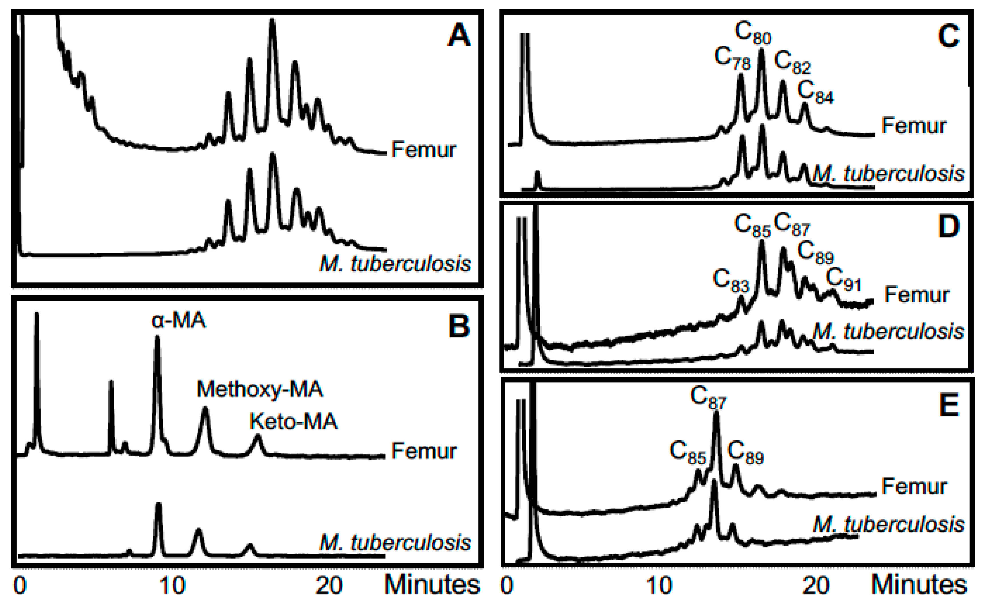 Diversity 09 00046 g004 Diversity 09 00046 g004