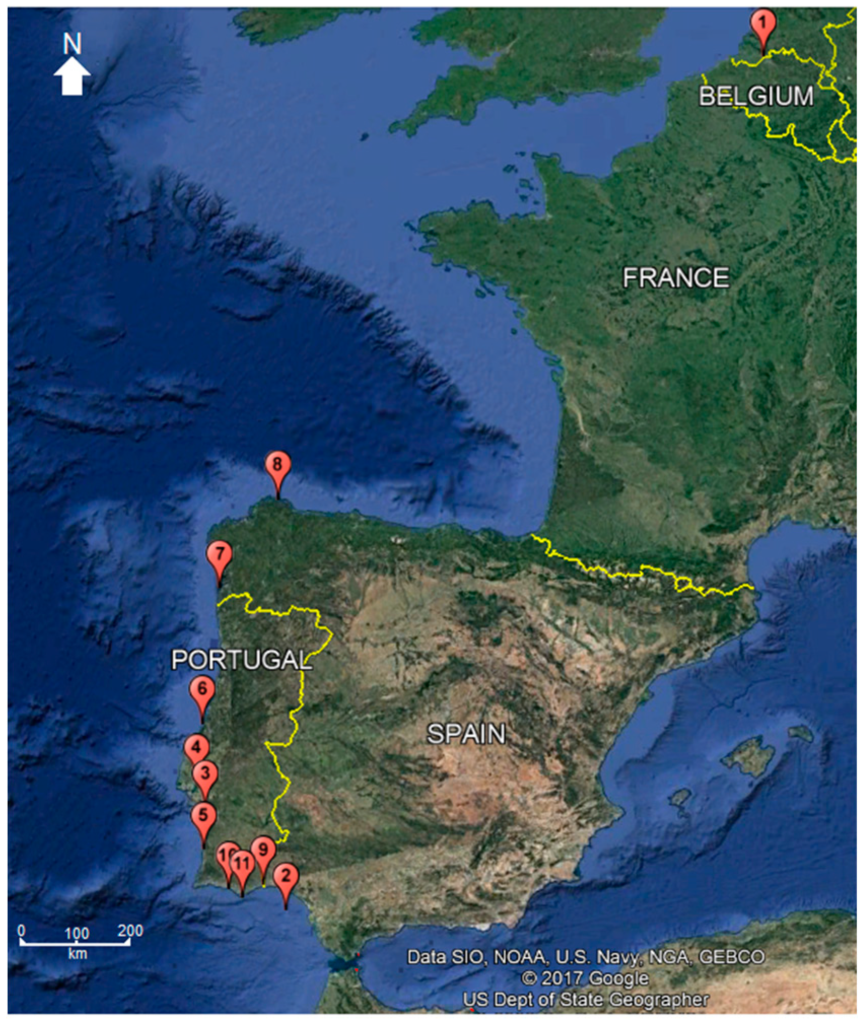 Diversity 09 00047 g001