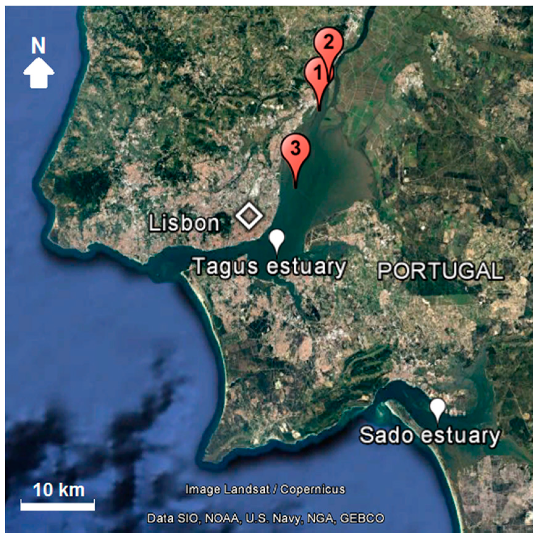 Diversity 09 00047 g002