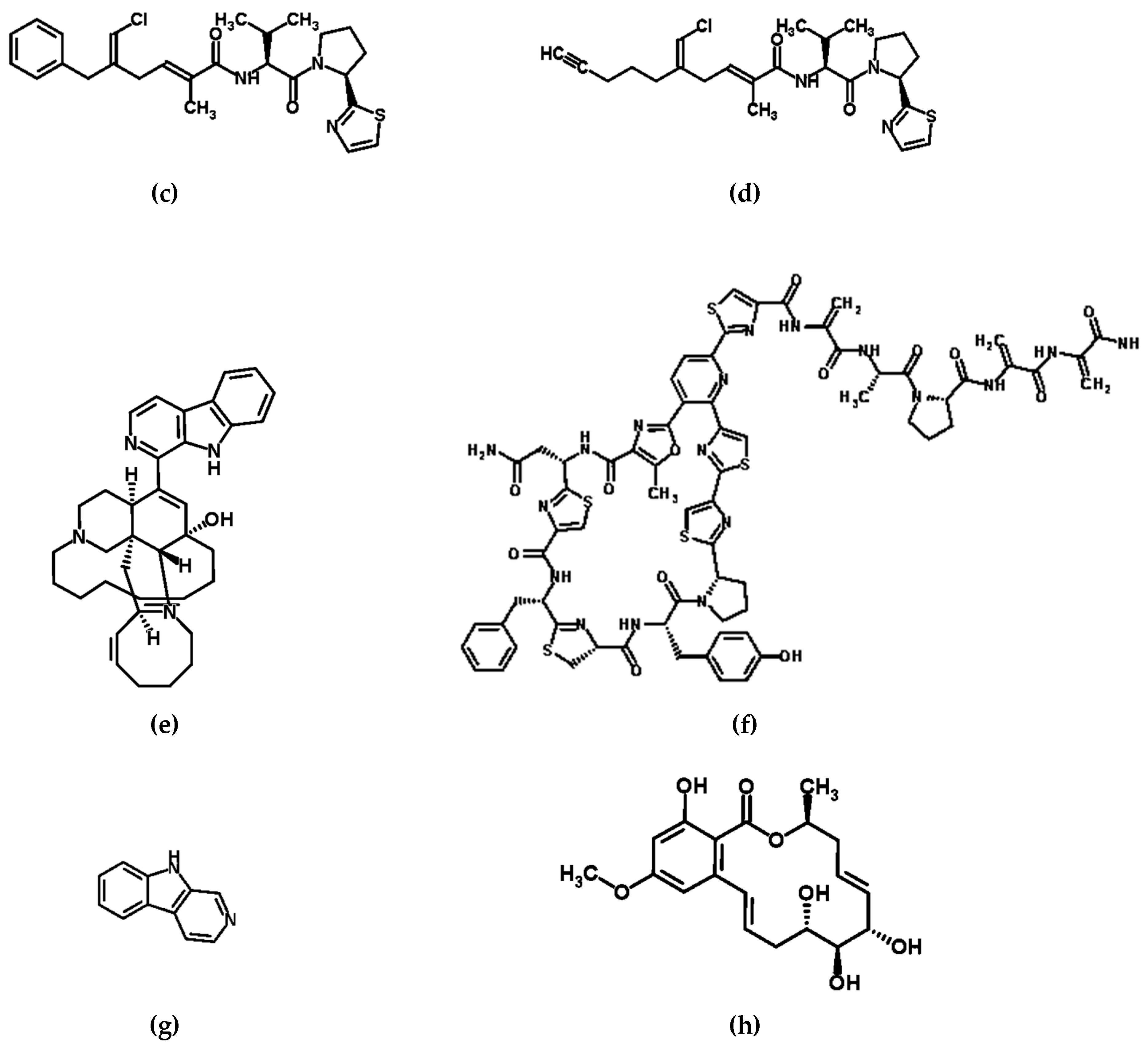 Diversity 09 00049 g001b Diversity 09 00049 g001b