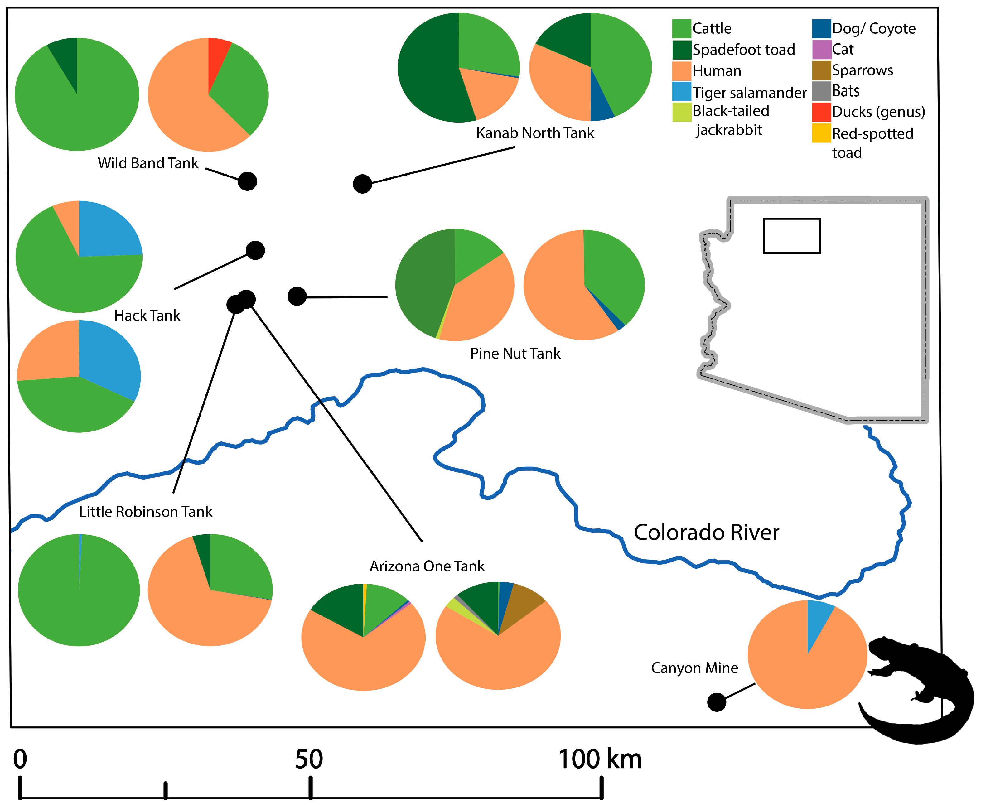 Diversity 09 00054 g003 Diversity 09 00054 g003