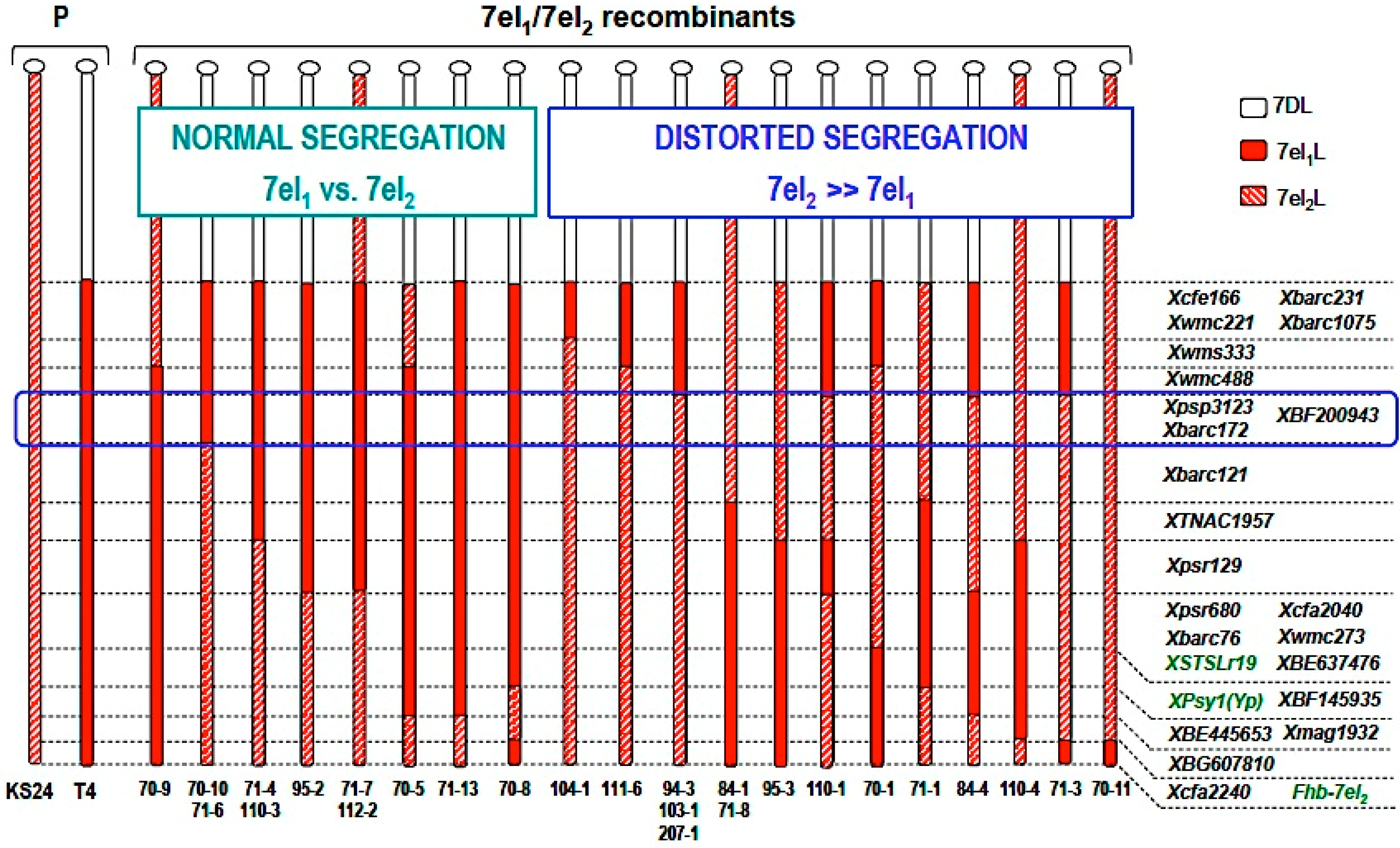 Diversity 09 00055 g005