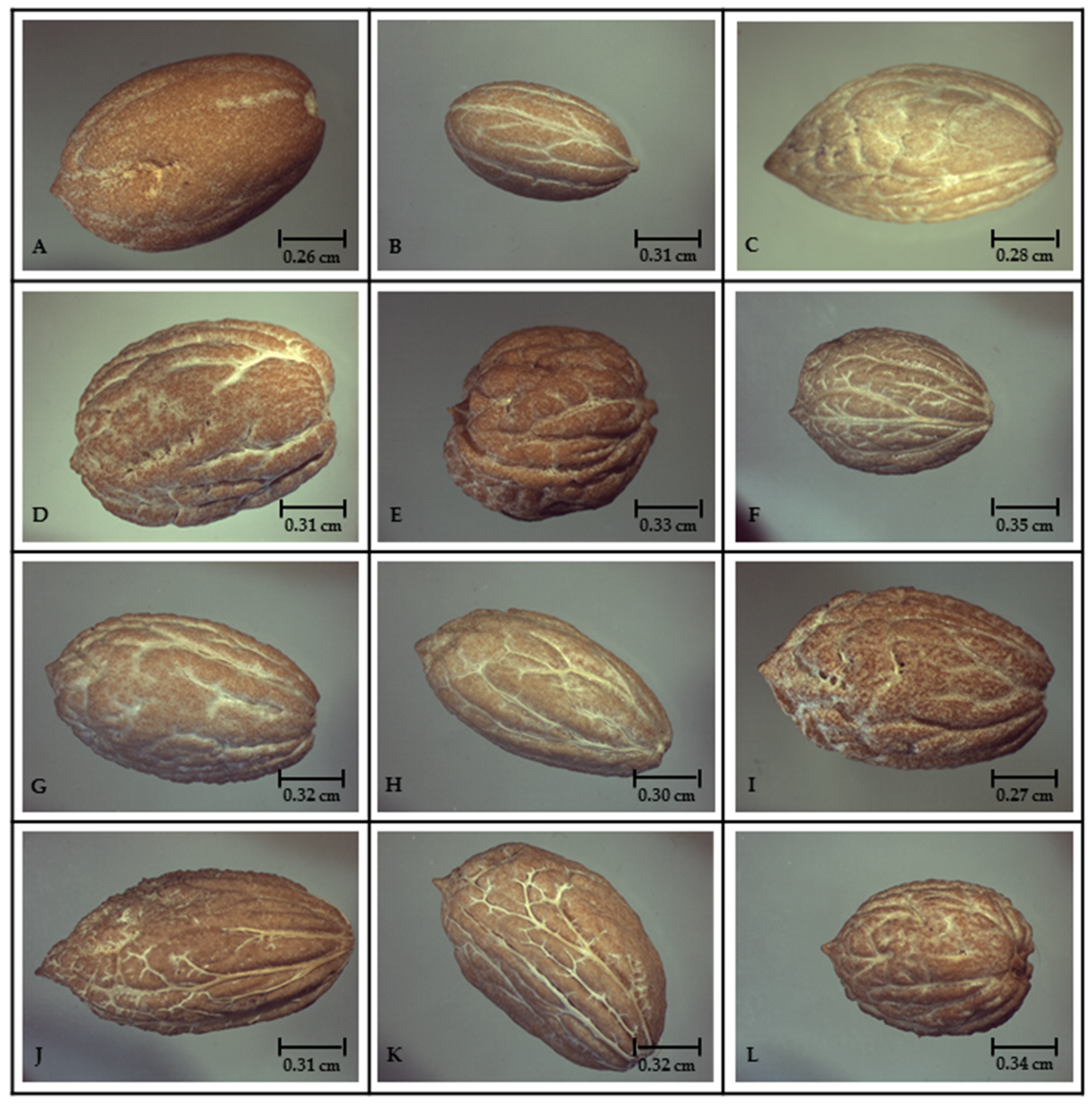 Diversity 10 00005 g002 Diversity 10 00005 g002