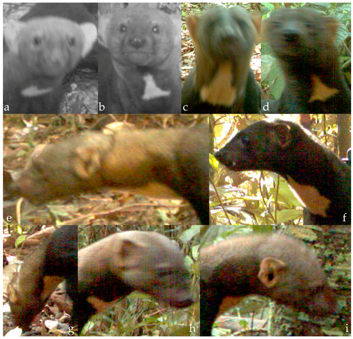 Diversity 10 00007 g010