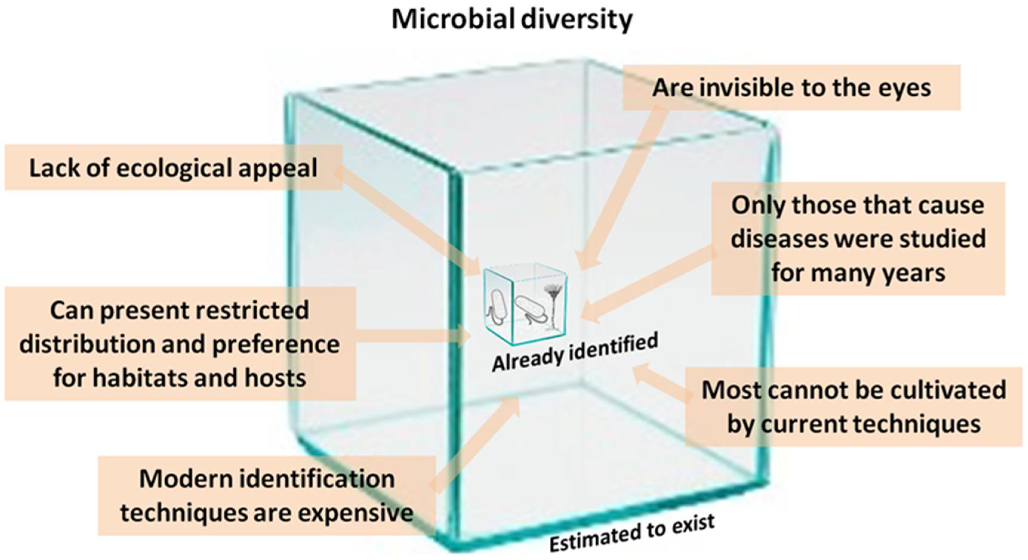 Diversity 10 00046 g005