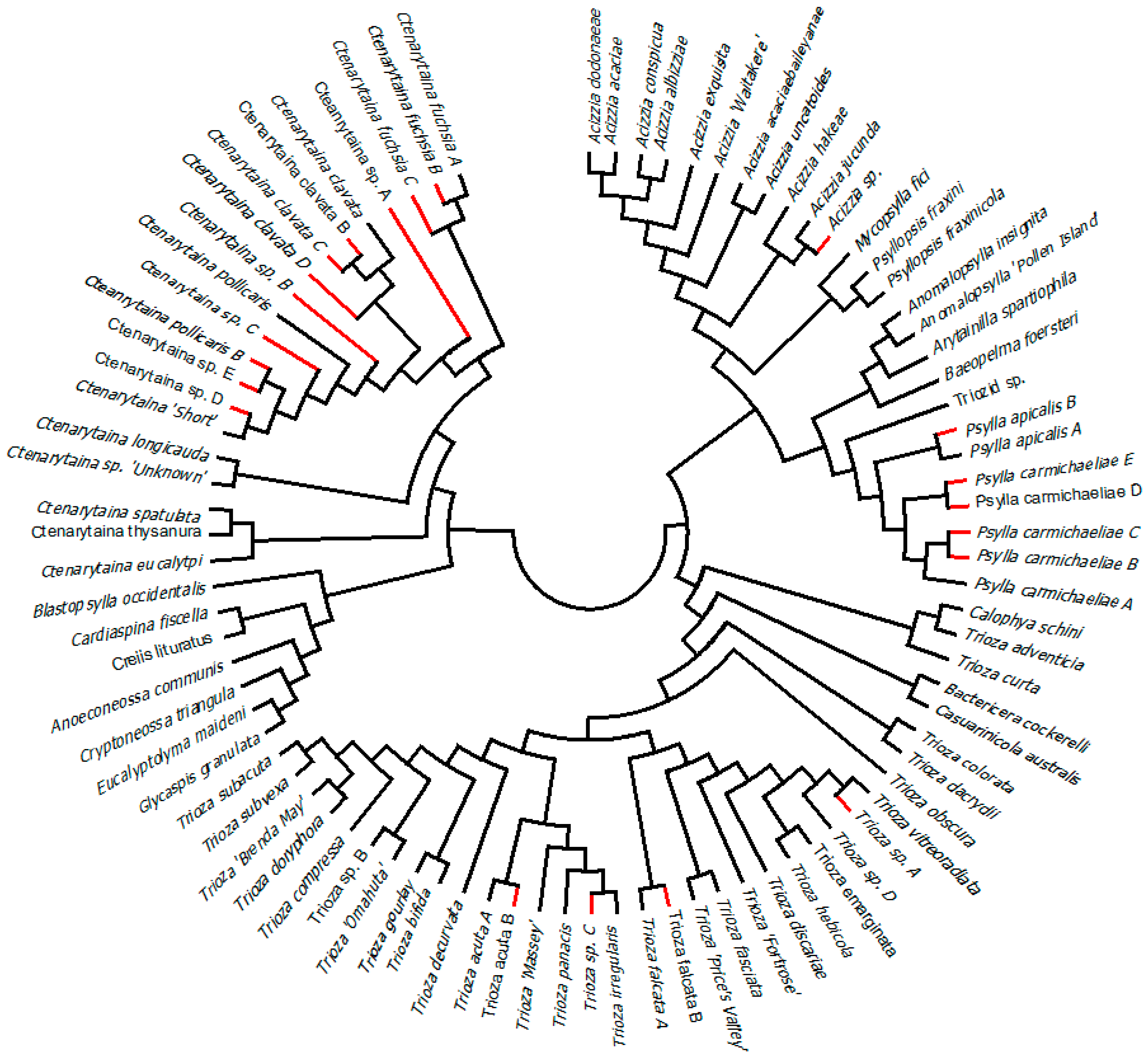 Diversity 10 00050 g002 Diversity 10 00050 g002