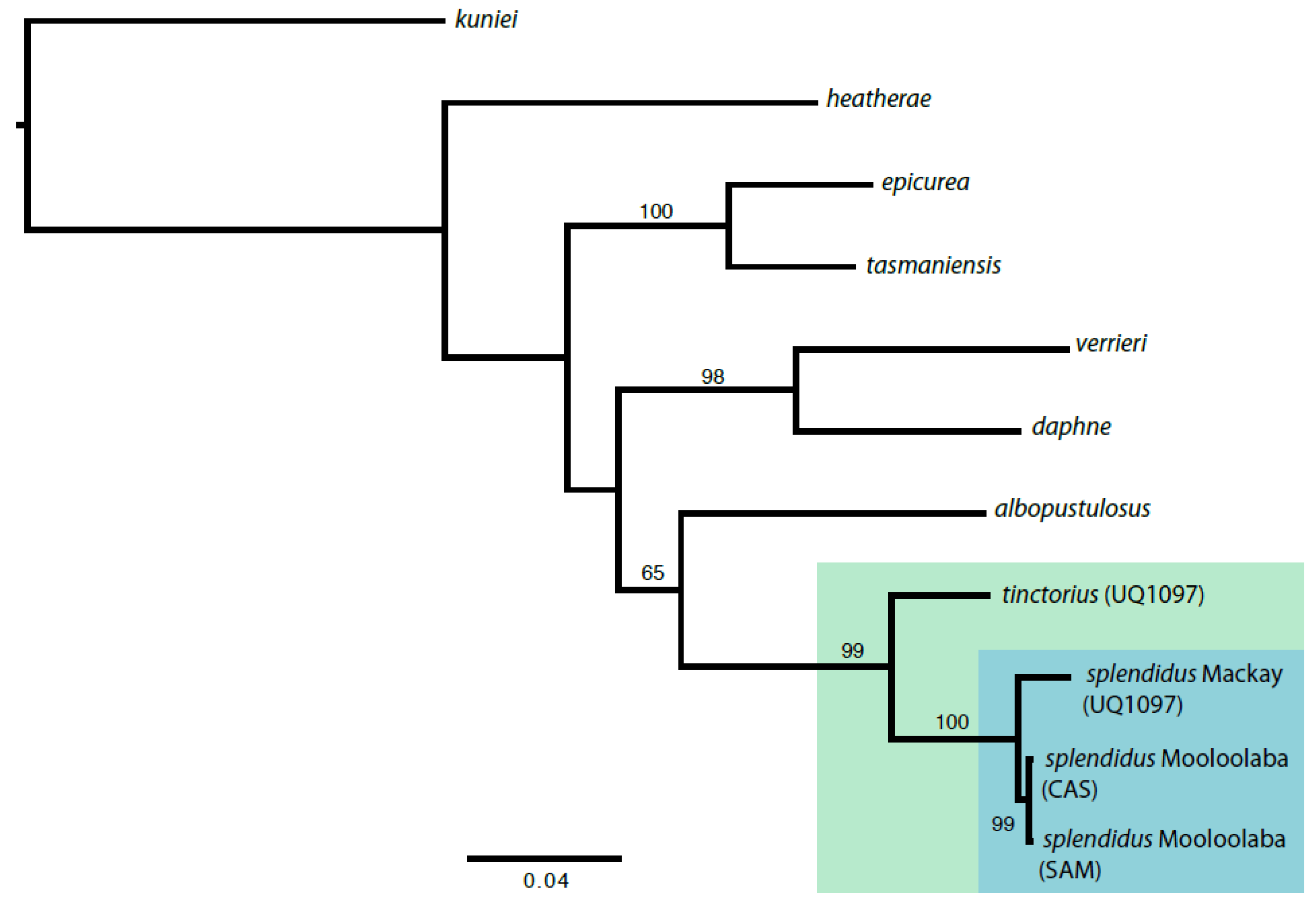 Diversity 10 00057 g001 550