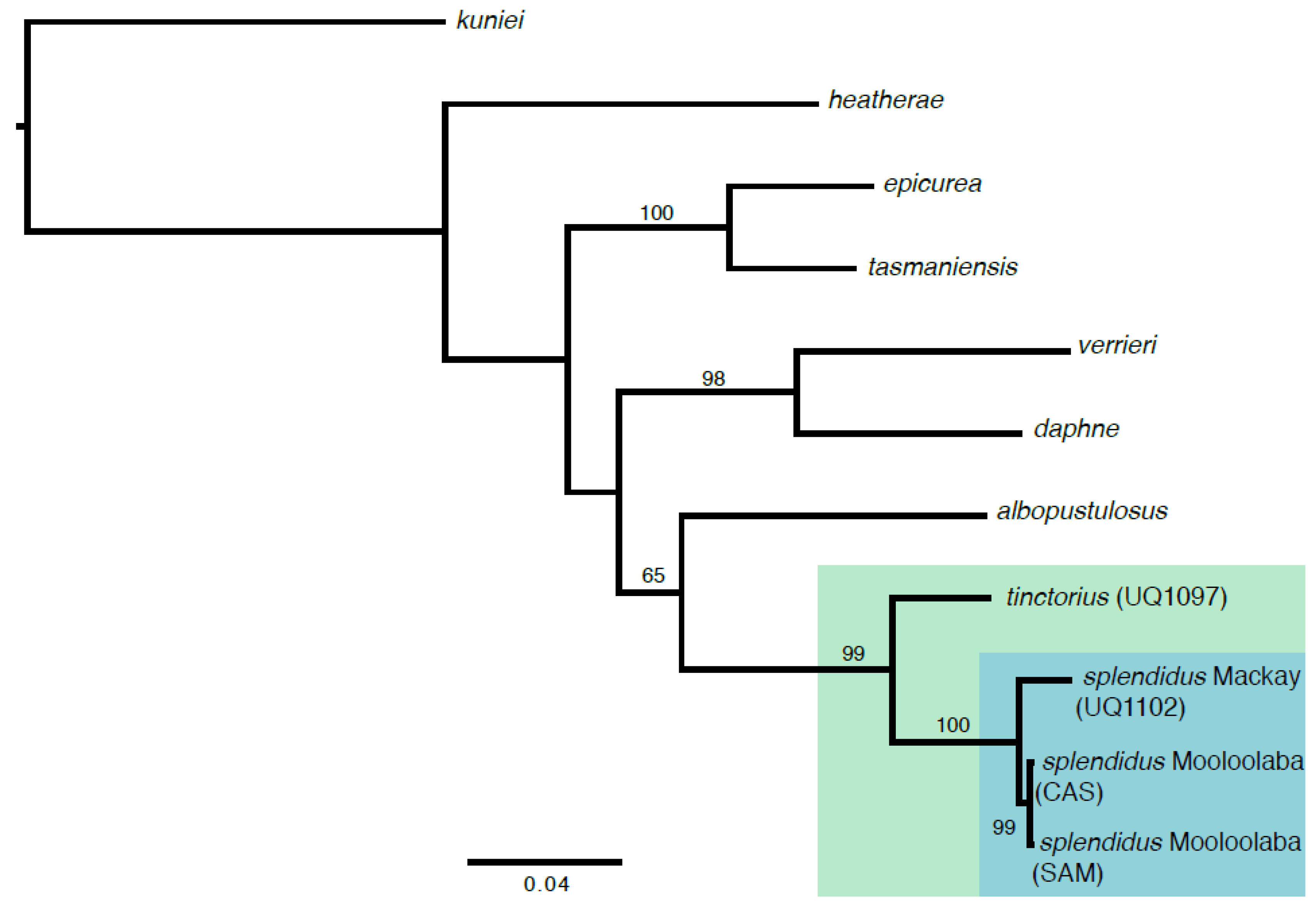 Diversity 10 00057 g002 550