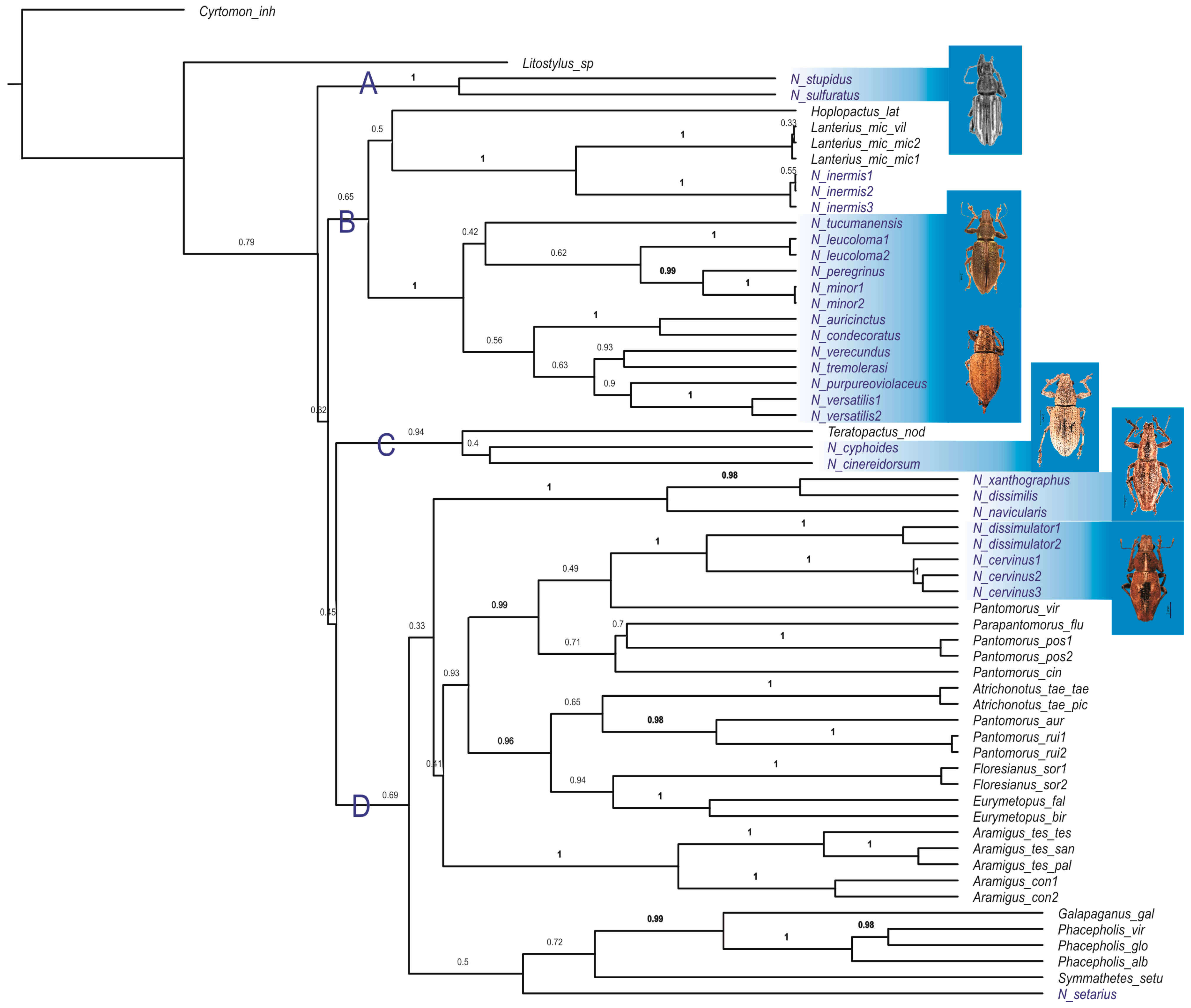 Diversity 10 00059 g001 Diversity 10 00059 g001
