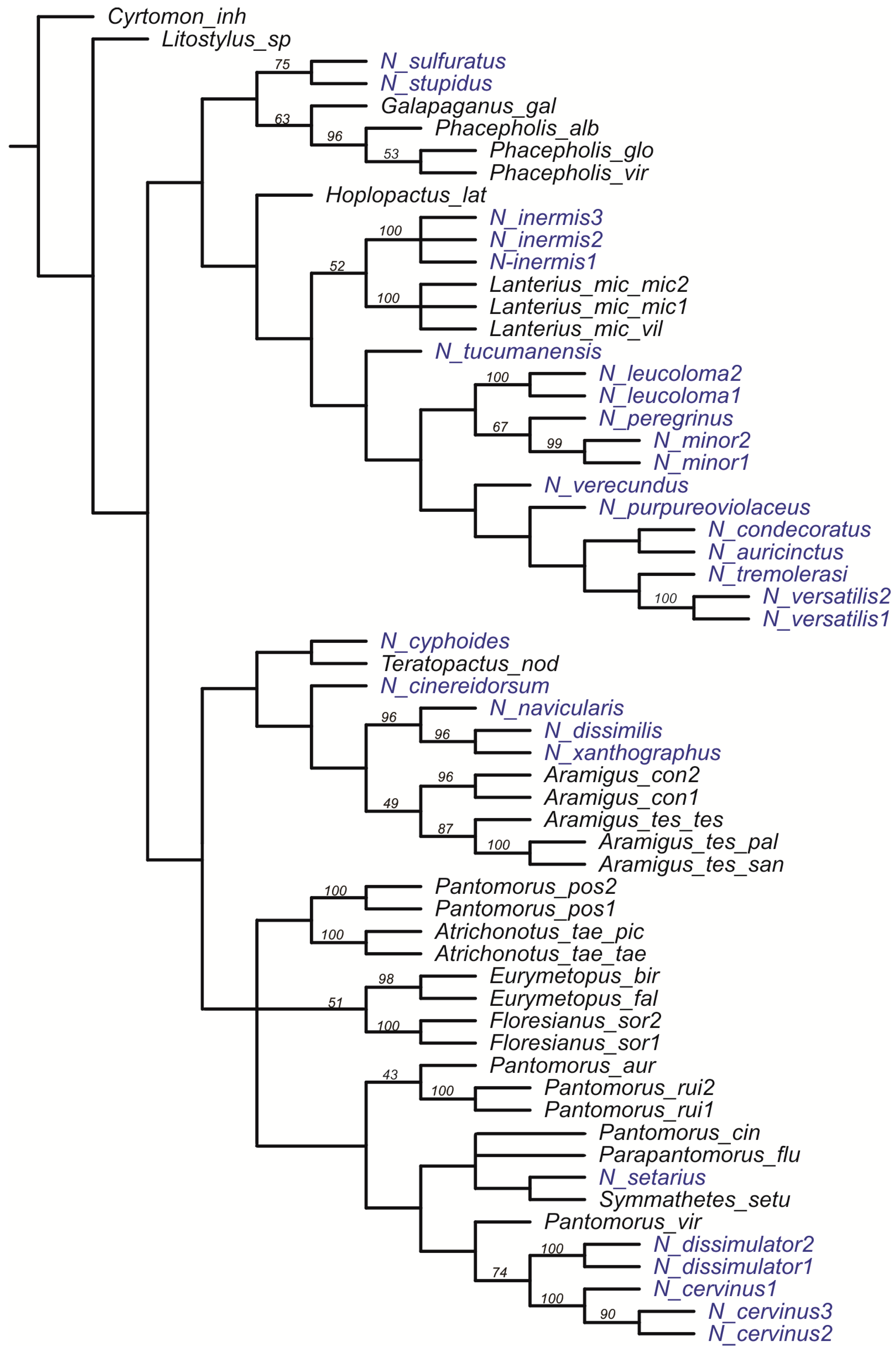Diversity 10 00059 g002 Diversity 10 00059 g002