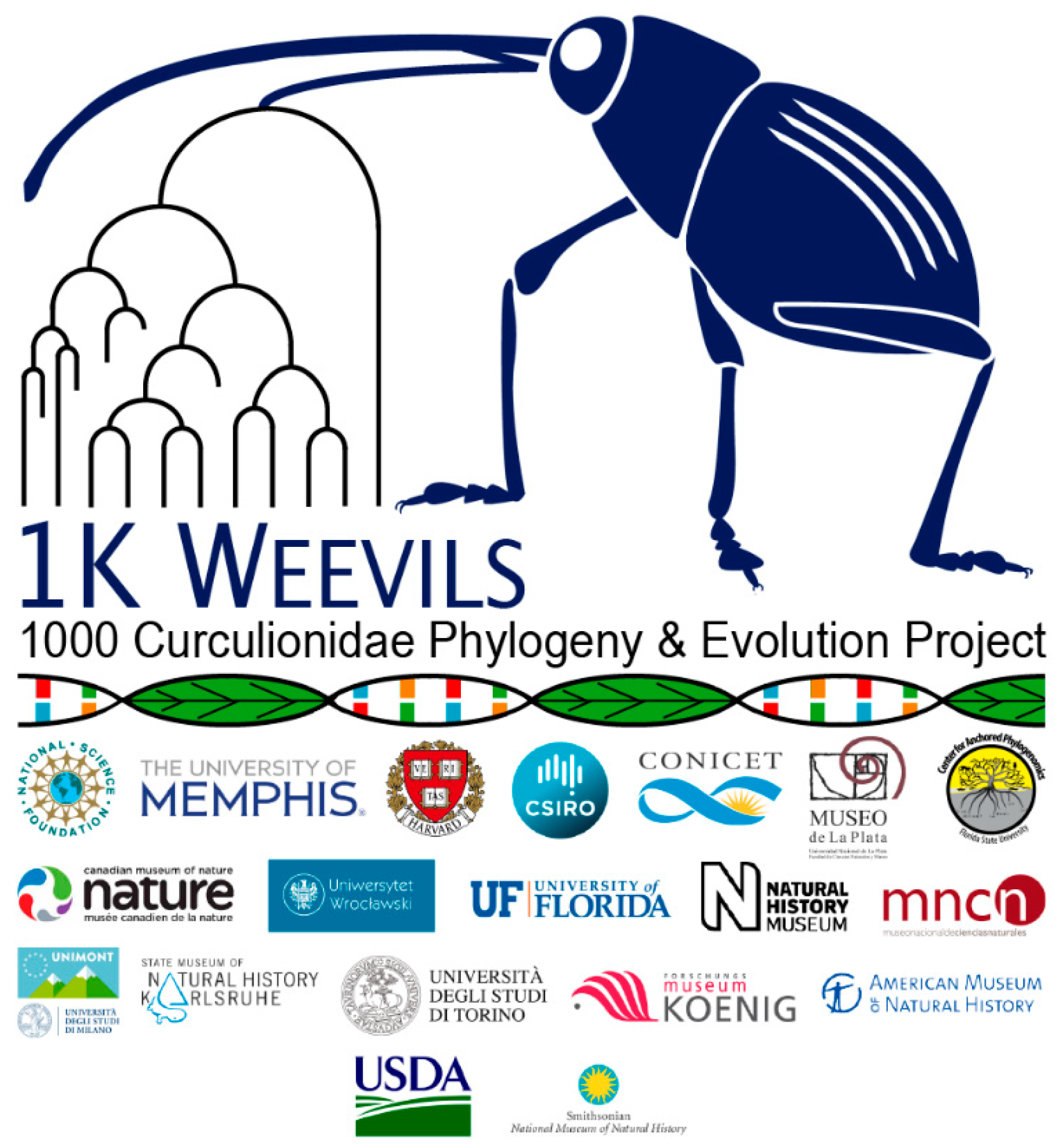 Diversity 10 00064 g002 Diversity 10 00064 g002